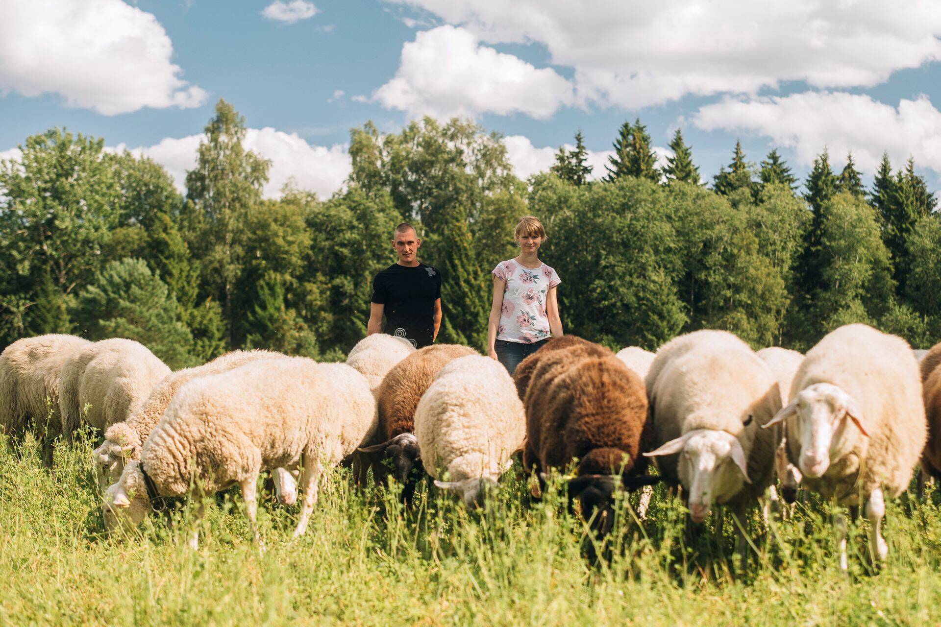 “Parim Talutoiit 2018” võitja - Männiku Piimalambad
