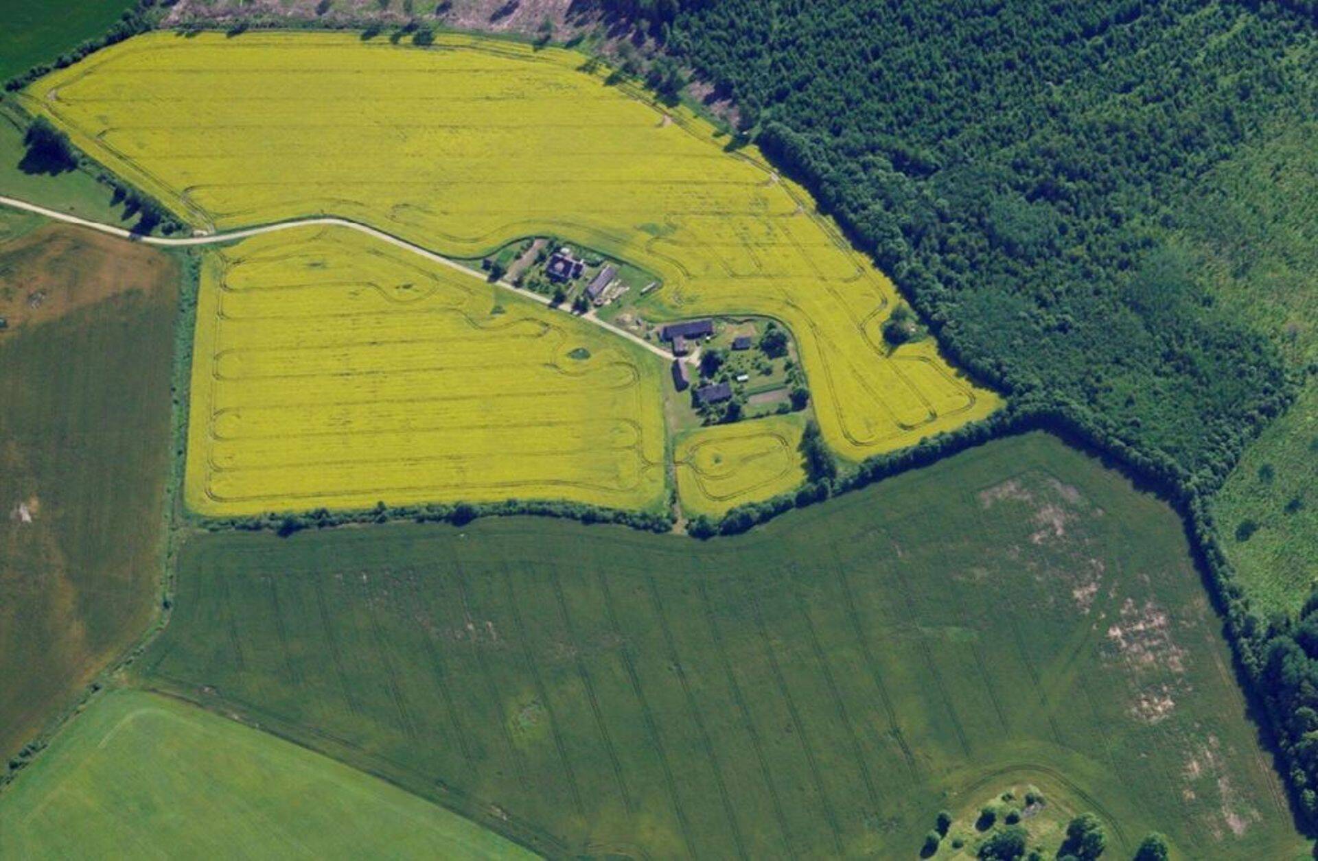 Fragment haritava maa turuülevaate kaanelt