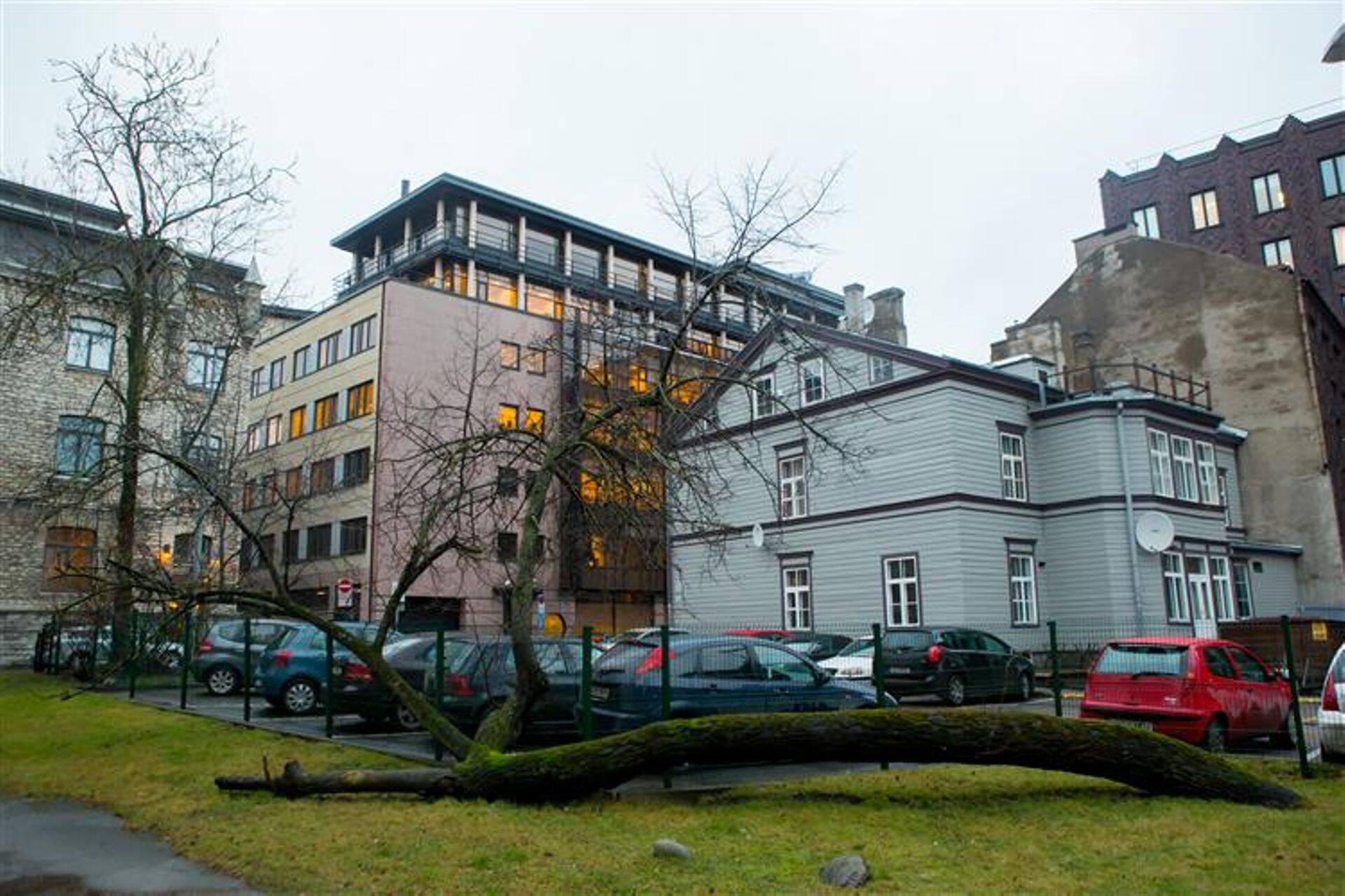 Korporatsioon Sakala uus hoone Tallinnas Roosikrantsi tänaval.