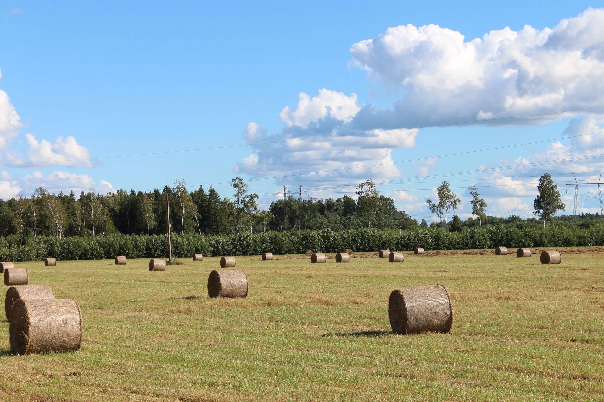 Järgmisest aastast lihtsustub otse- ja üleminekutoetuste taotlemine