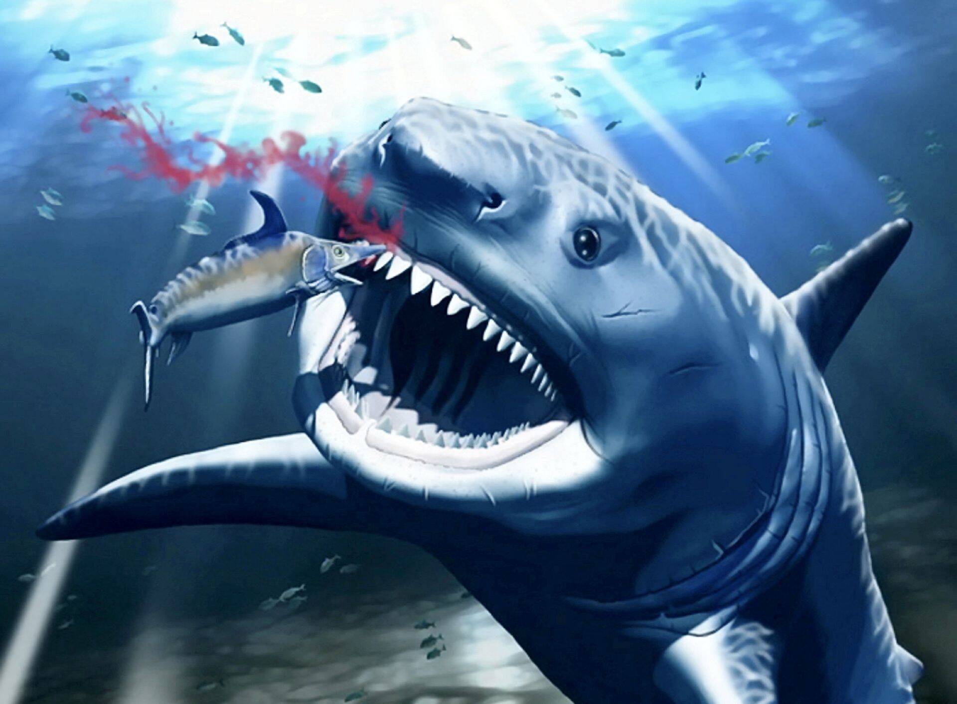 Dažkārt varētu likties, ka mazajam investoram milzīgajā finanšu tirgu okeānā jāairējas ar savu nelielo laiviņu un vien jācer, ka to neapgāzīs kāds liels vilnis vai neapēdīs kāds šīs ūdenstilpes monstrs.