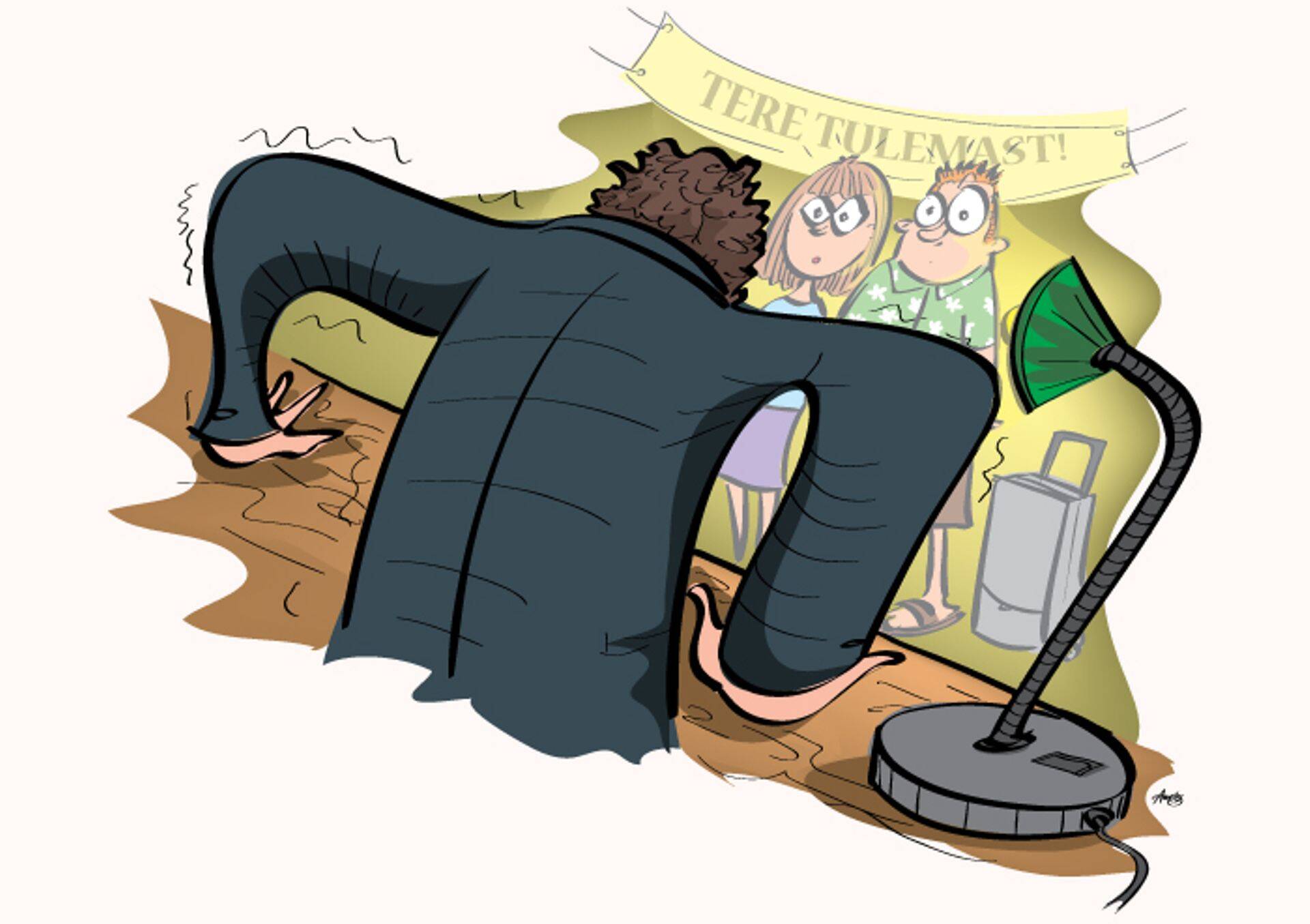 Eile kandis Äripäeva juhtkiri pealkirja "Peatage hotelliäri moonutav orwellilik turse", viidates et turismiseaduse muudatusega loodav majutusteenuse andmekogu seab eesmärgiks turvalisuse, aga seda privaatsuse karmi riive hinnaga.