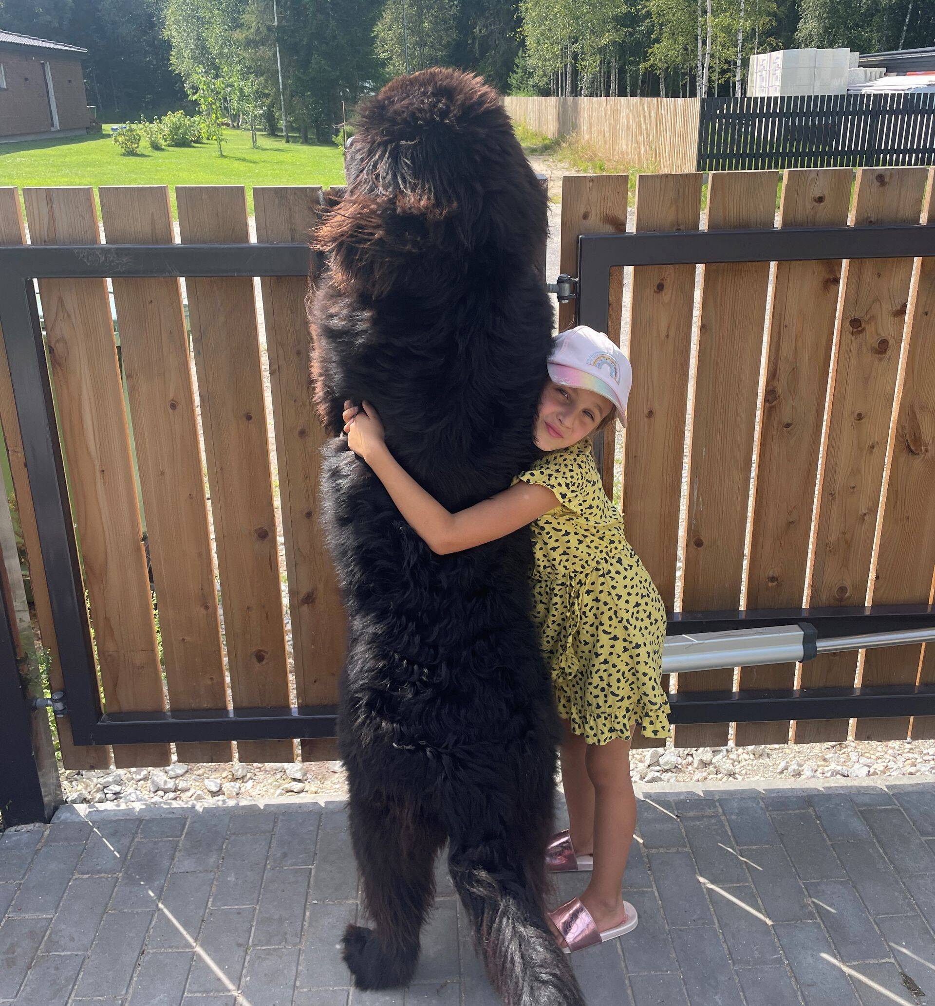 Rambot kallistav Steffi on 8-aastane ja umbes 146 cm pikk.