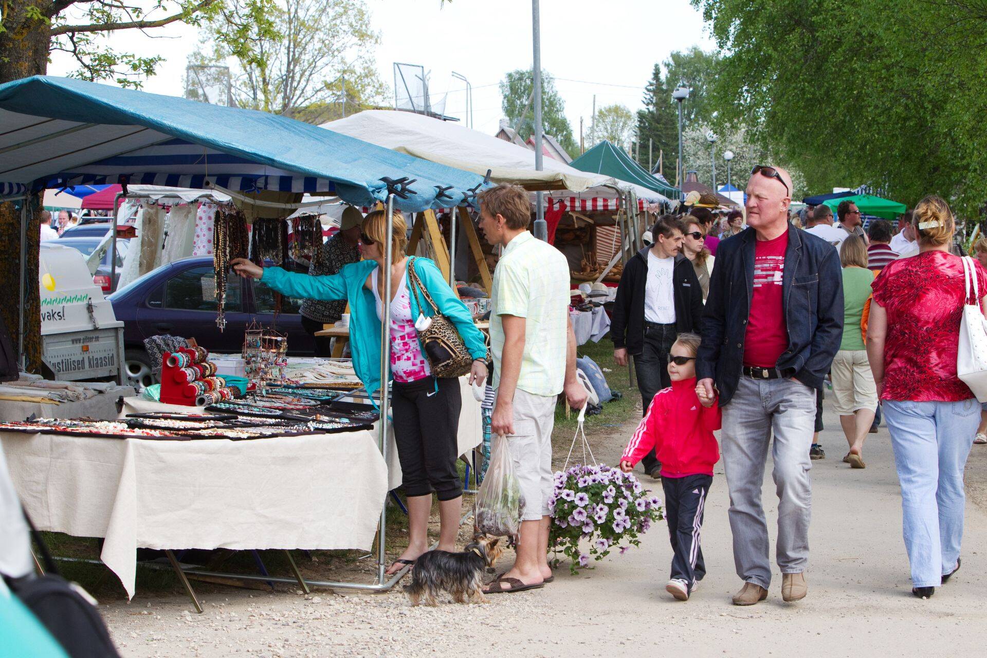 Järvamaal on korterite ja majade ruutmeetrihind peaaegu sama, fotol Türi lillelaat.