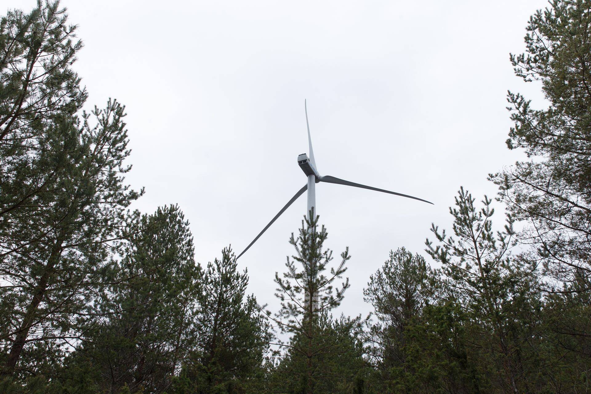 Eesti Energia tuulepargid tootsid jaanuaris 70% rohkem