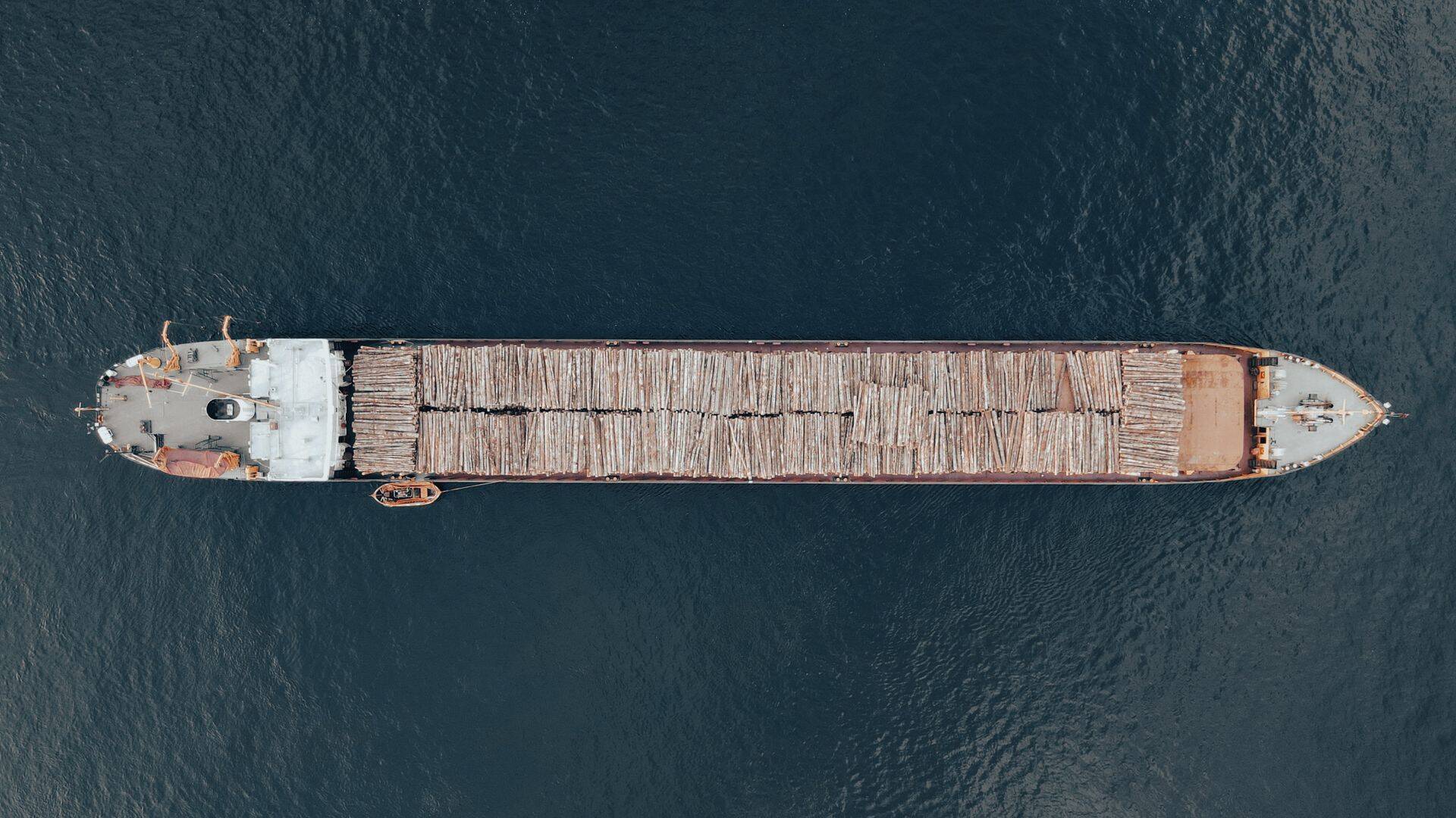 Veel aasta tagasi oli puidu ja puittoodete eksport Venemaa jaoks oluline majandustegevus. Pildil Vene puidulaev Läänemerel.