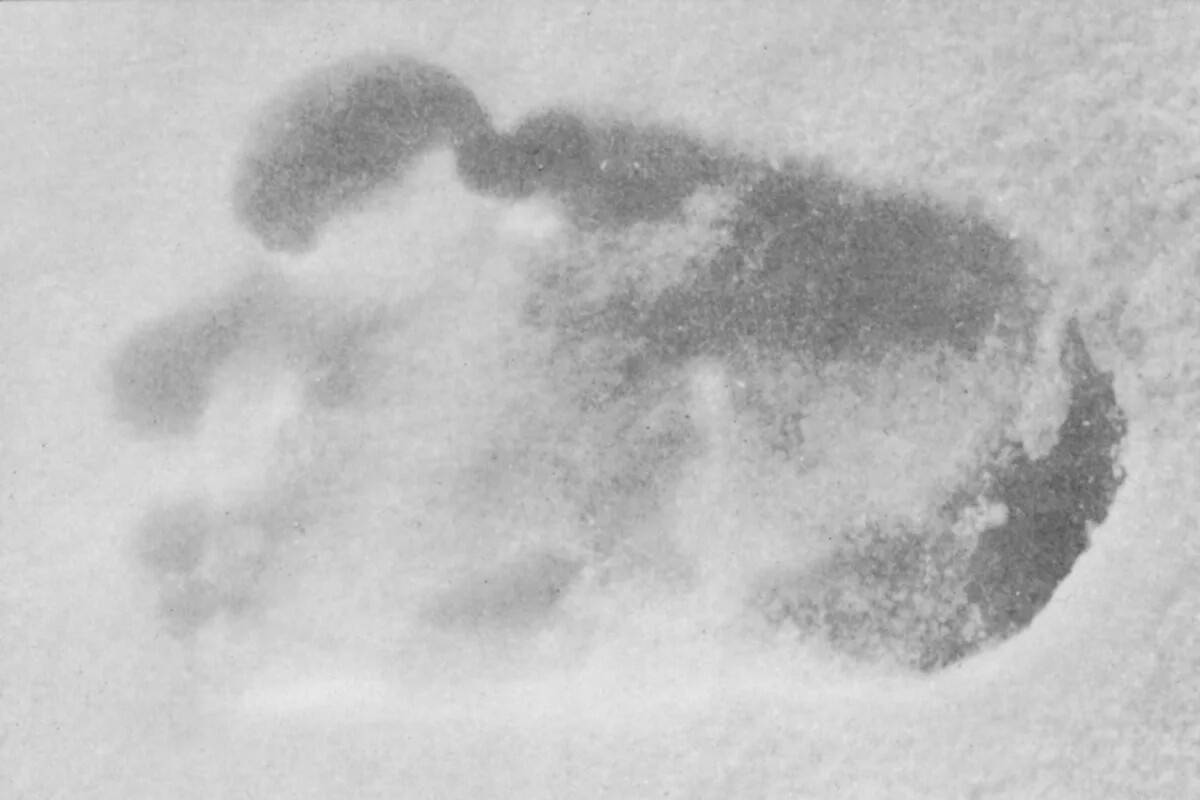 © Mary Evans Picture Library 2013 / Scanpix