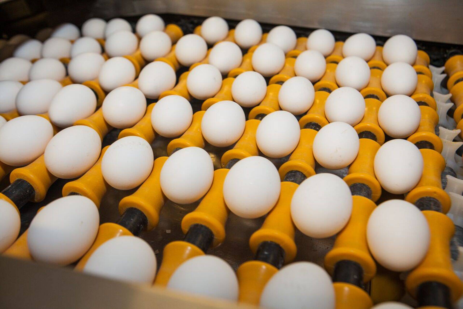 Ekspordi vähenemist mõjutas ka toidukaupade väljaveo vähenemine.