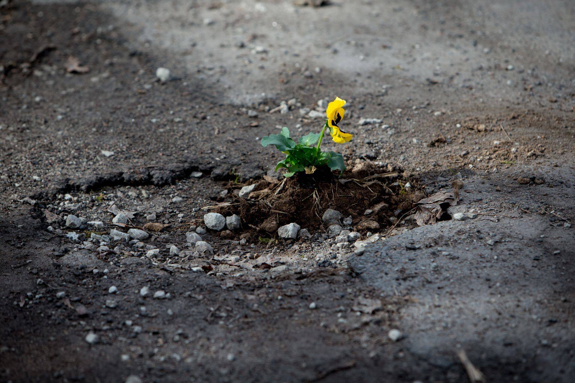 Tallinn jagab ettevõtlusauhindu