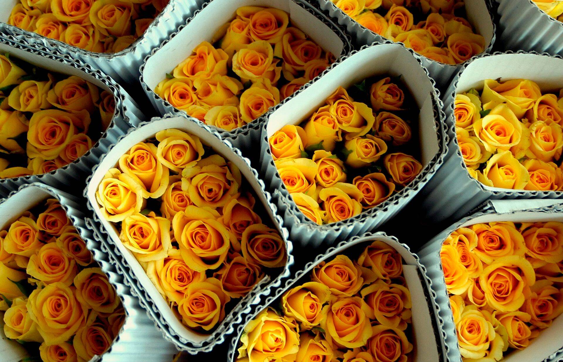 Head raamatupidajate päeva!