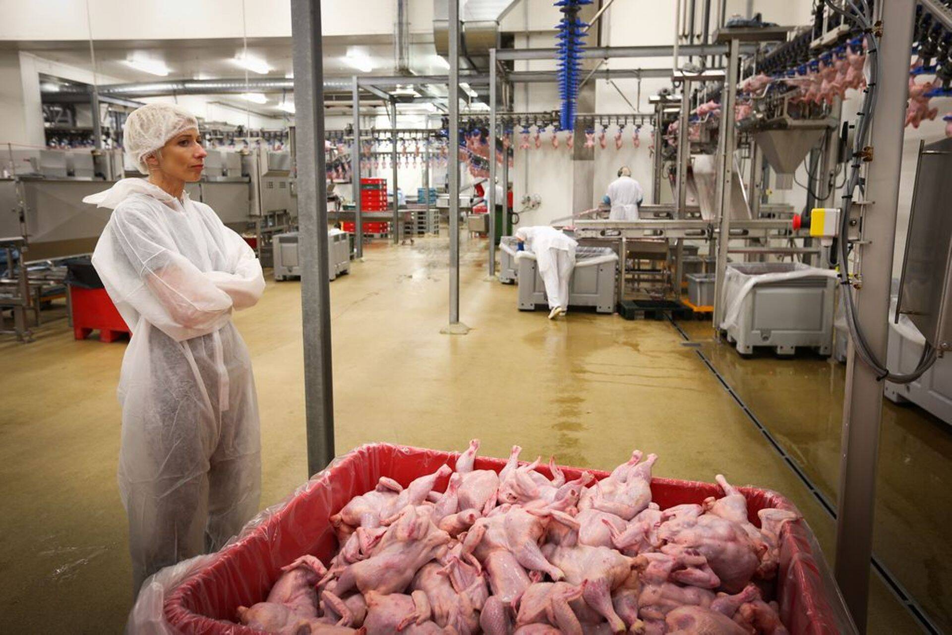 Tallegg avas mullu Tabasalus renoveeritud ja laiendatud tehase, kuhu täna koondub ettevõtte kogu lihatöötlemine. Tehtud investeeringu kogumaksumus oli 13,5 miljonit eurot. Pildil jälgib tootmist ettevõtte turundusjuht Anne Mere.