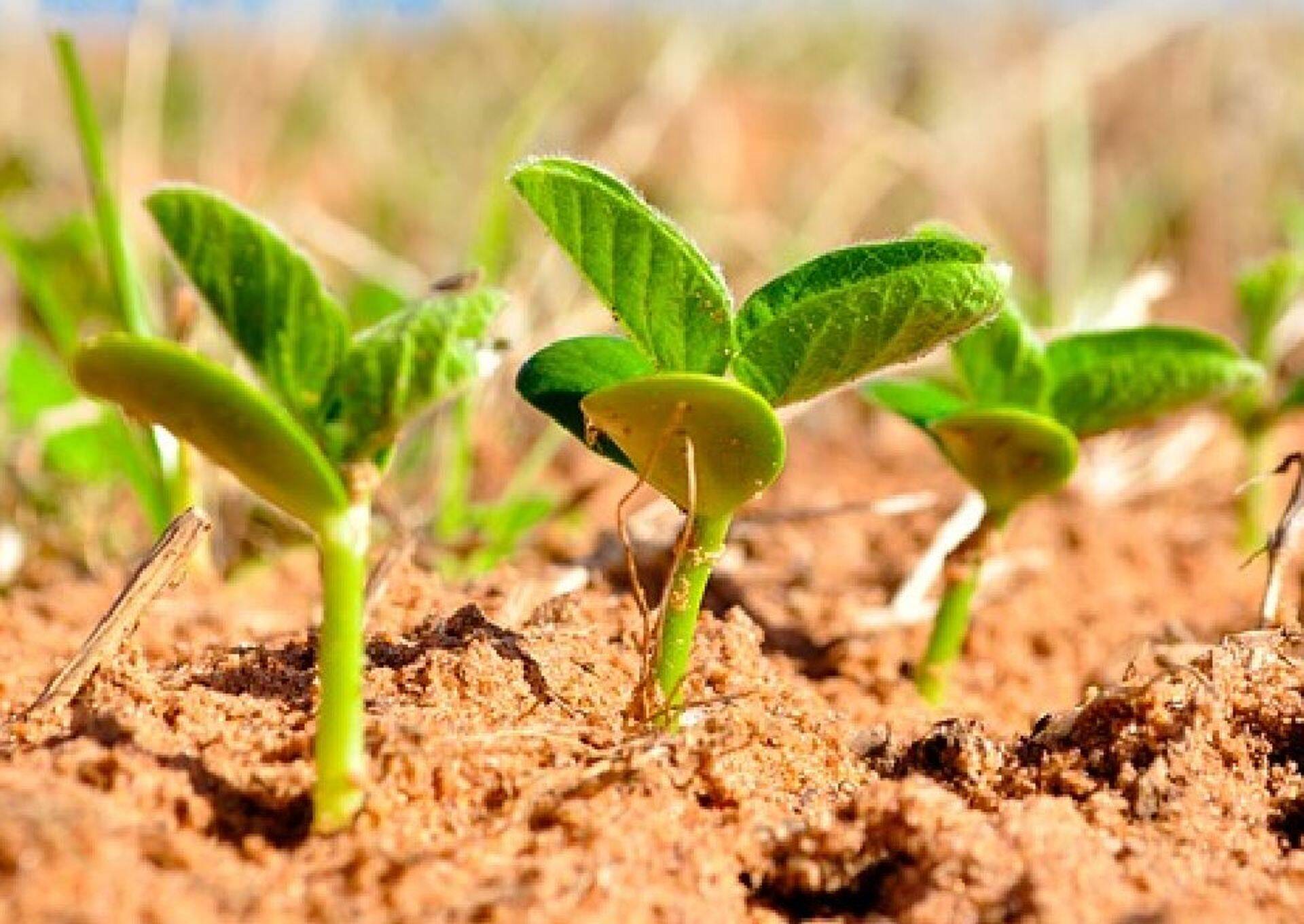 Põllumajanduse ja kalanduse arengukavasse esitati üle 600 ettepaneku