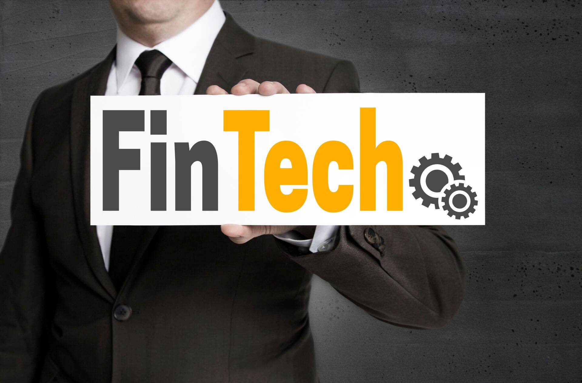 Ärimees FinTechi sildiga