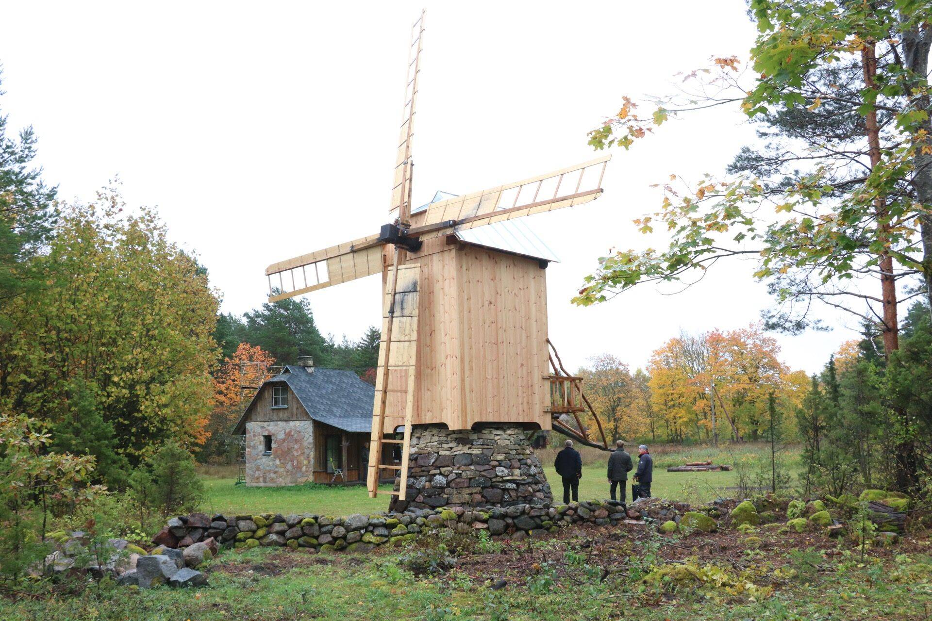 Pukktuulik Muhumaal.