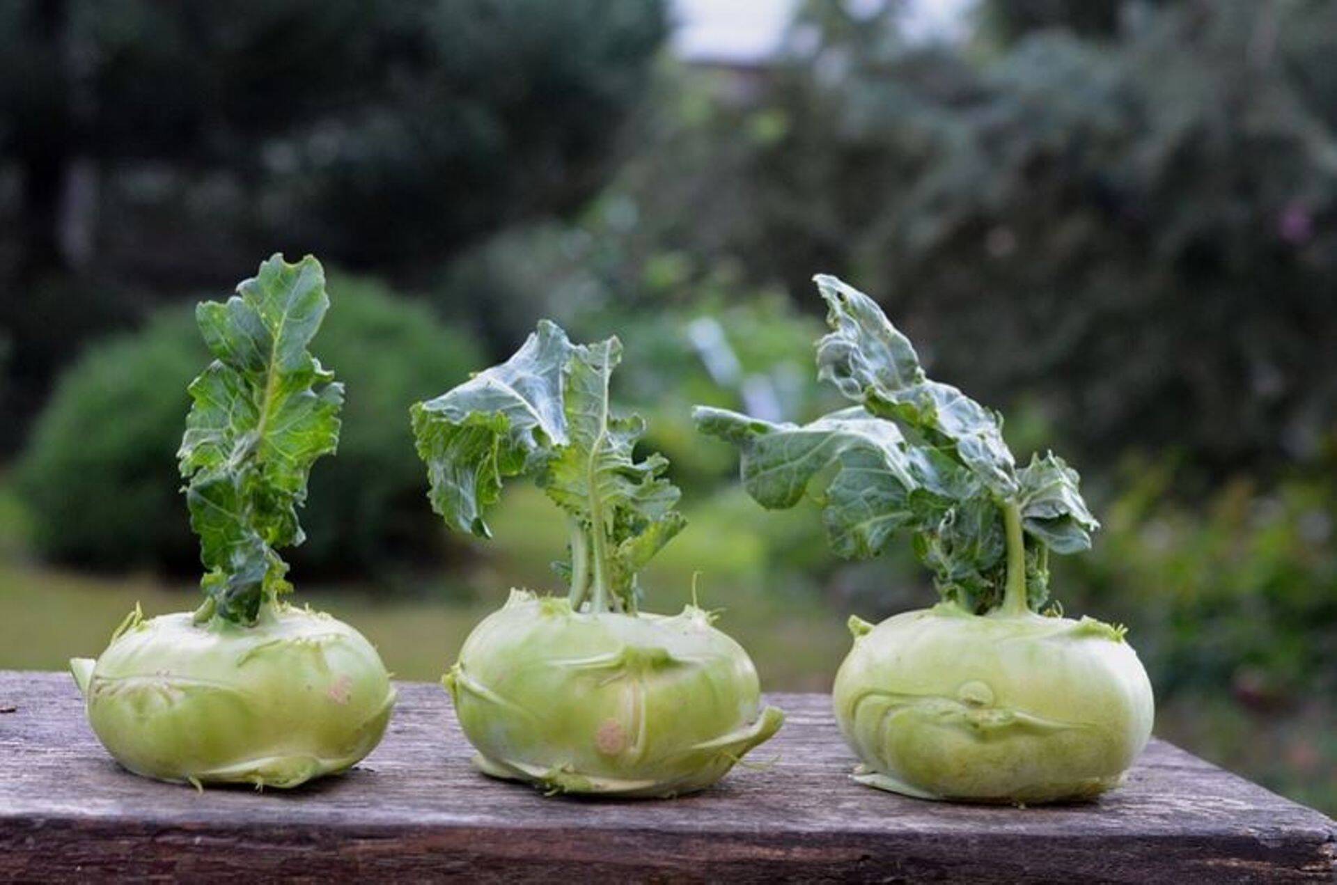 Kes on tänavused parimad põllumajandustootjad?