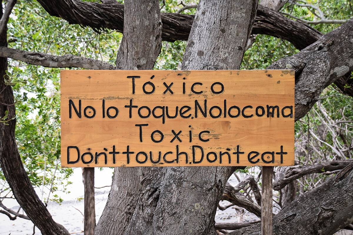 © Andi Edwards / Alamy / ImageSelect