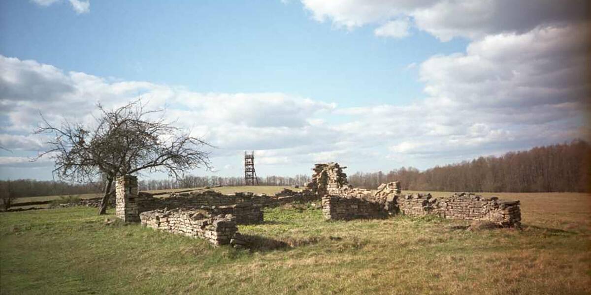 Maalja talu kõrvalhoone vare Soontaganas Maalinna soosaarel 2008. aastal. © Hanno Talving / Eesti vabaõhumuusuem