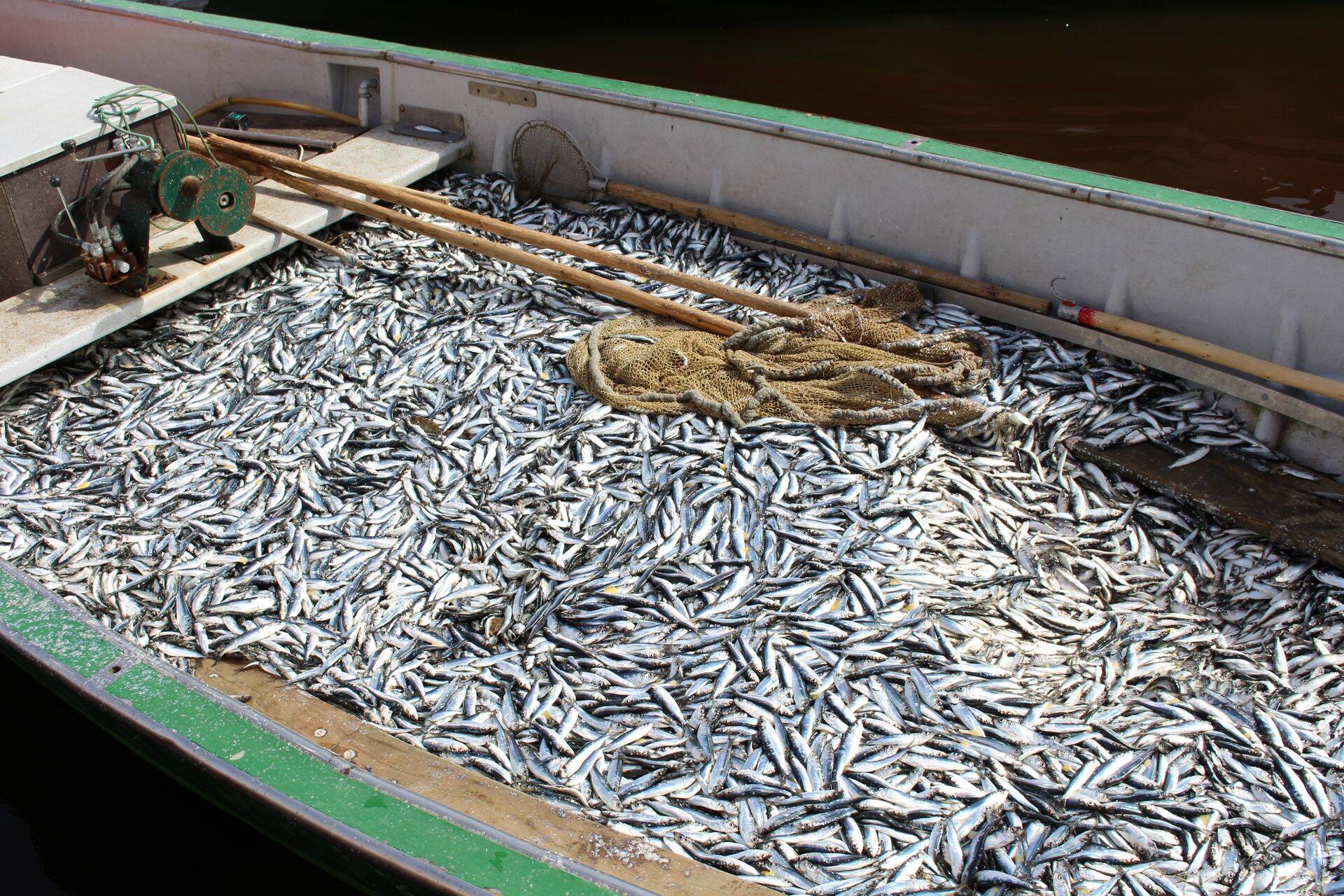 Kalandustoetuste taotlemine muutub lihtsamaks
