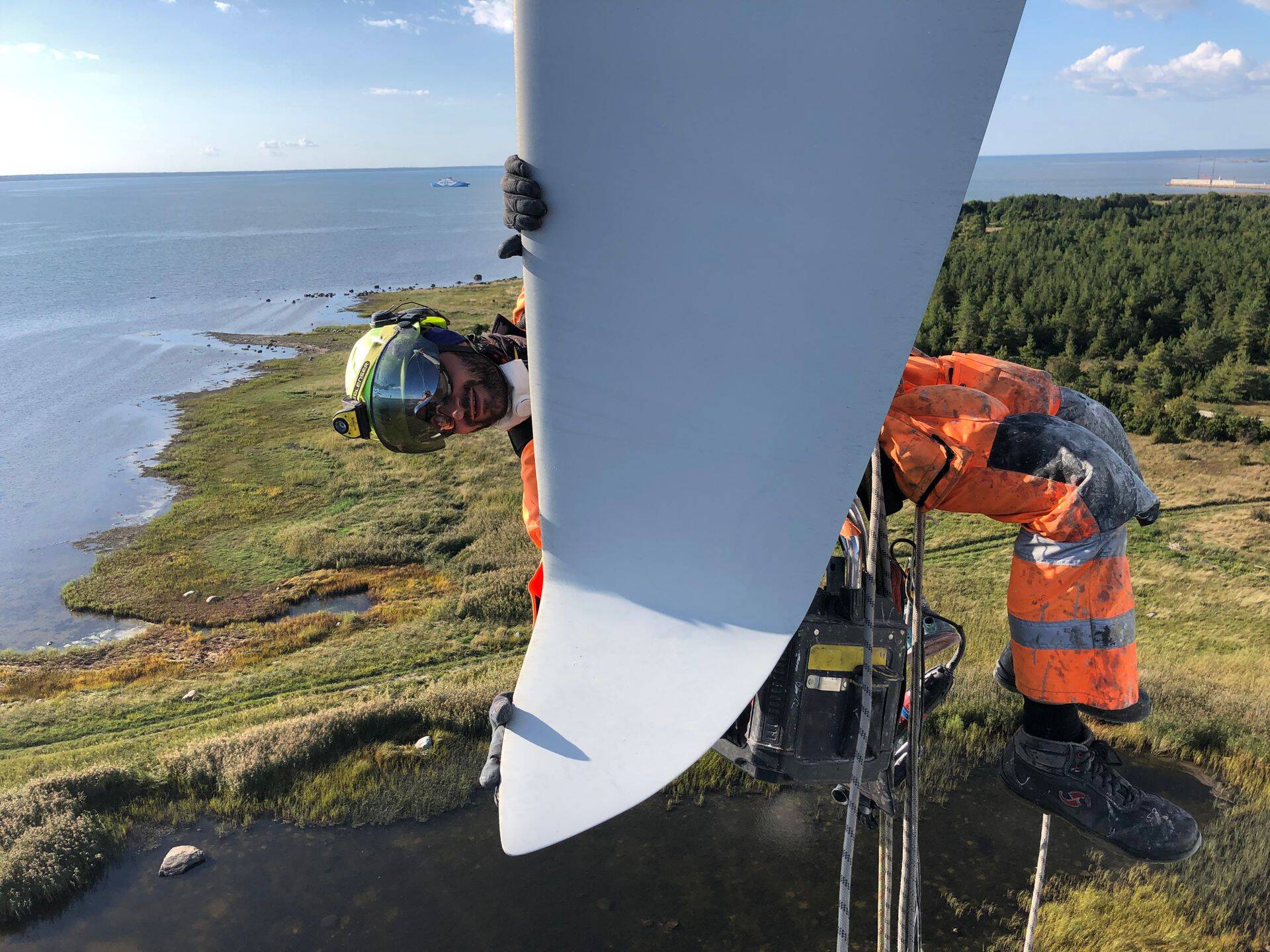 Soome ettevõtja Feodor Gurvitsa soovitus on, et Eesti riik võiks ise arendada oma tuuleparke ning kasutada nende hooldamiseks oma inimesi, samuti võiks turbiine toota Eesti firmad.
