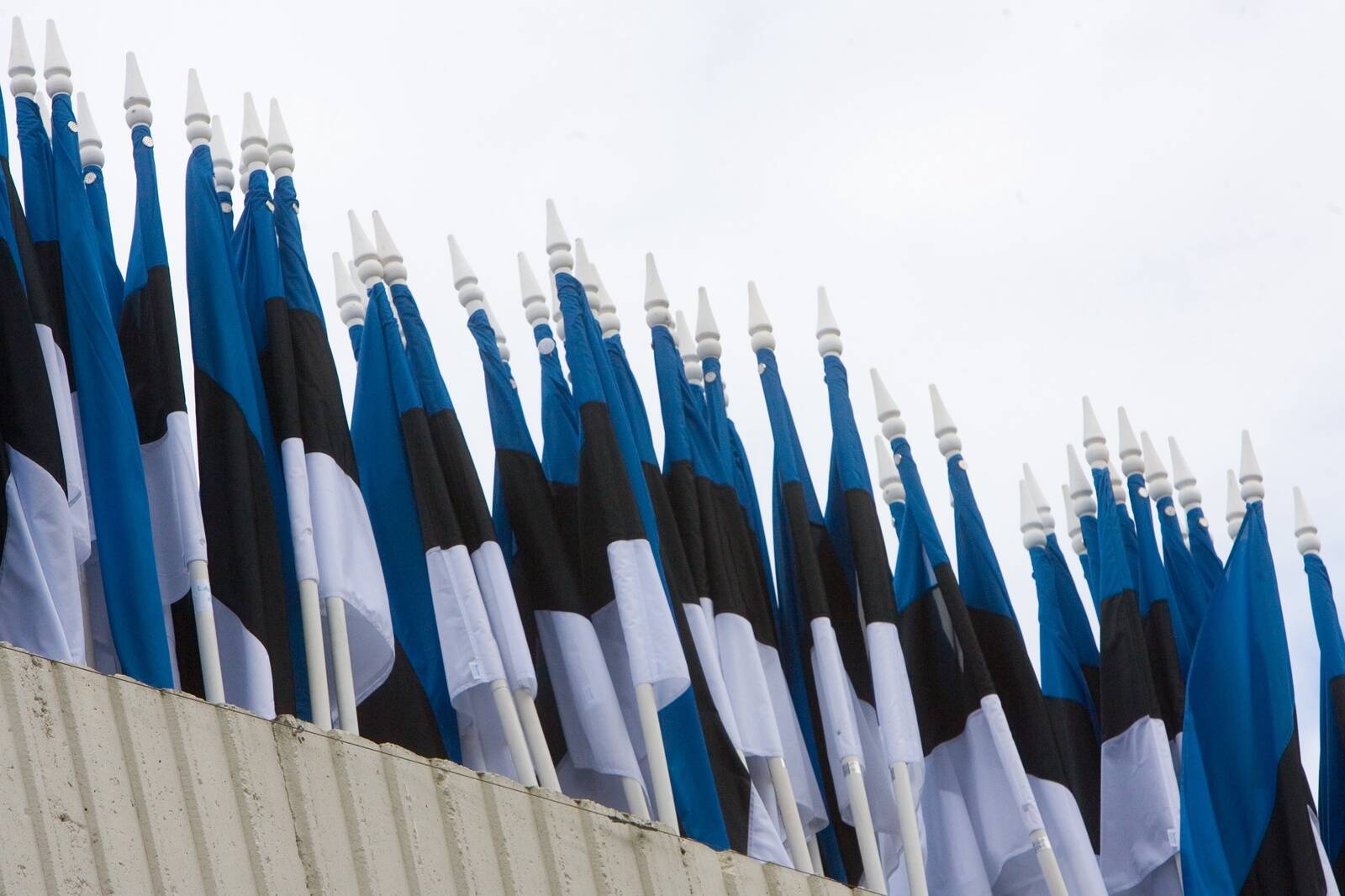 Eesti lipud.