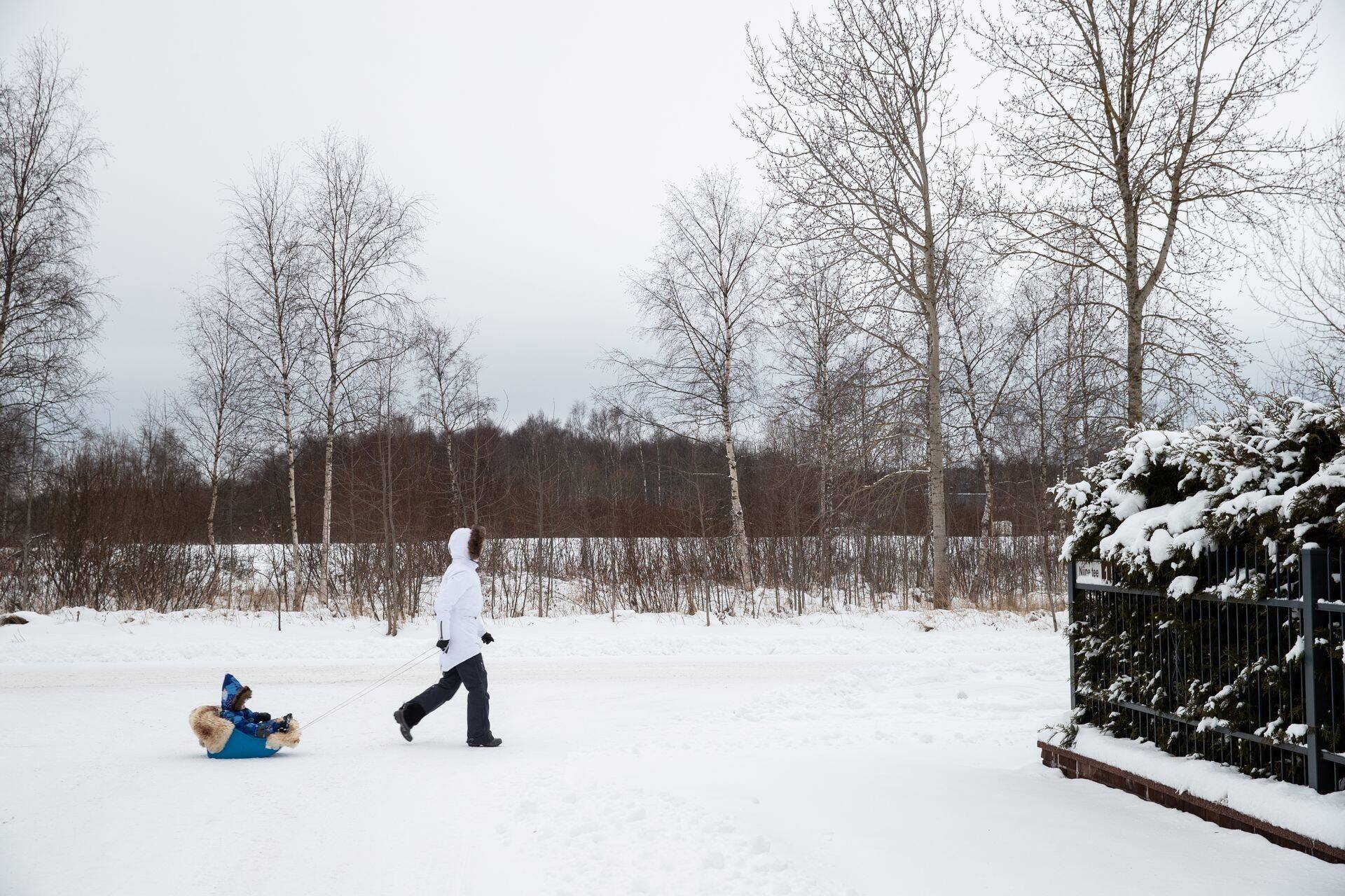 Kavandatava pargi territoorium Peetris