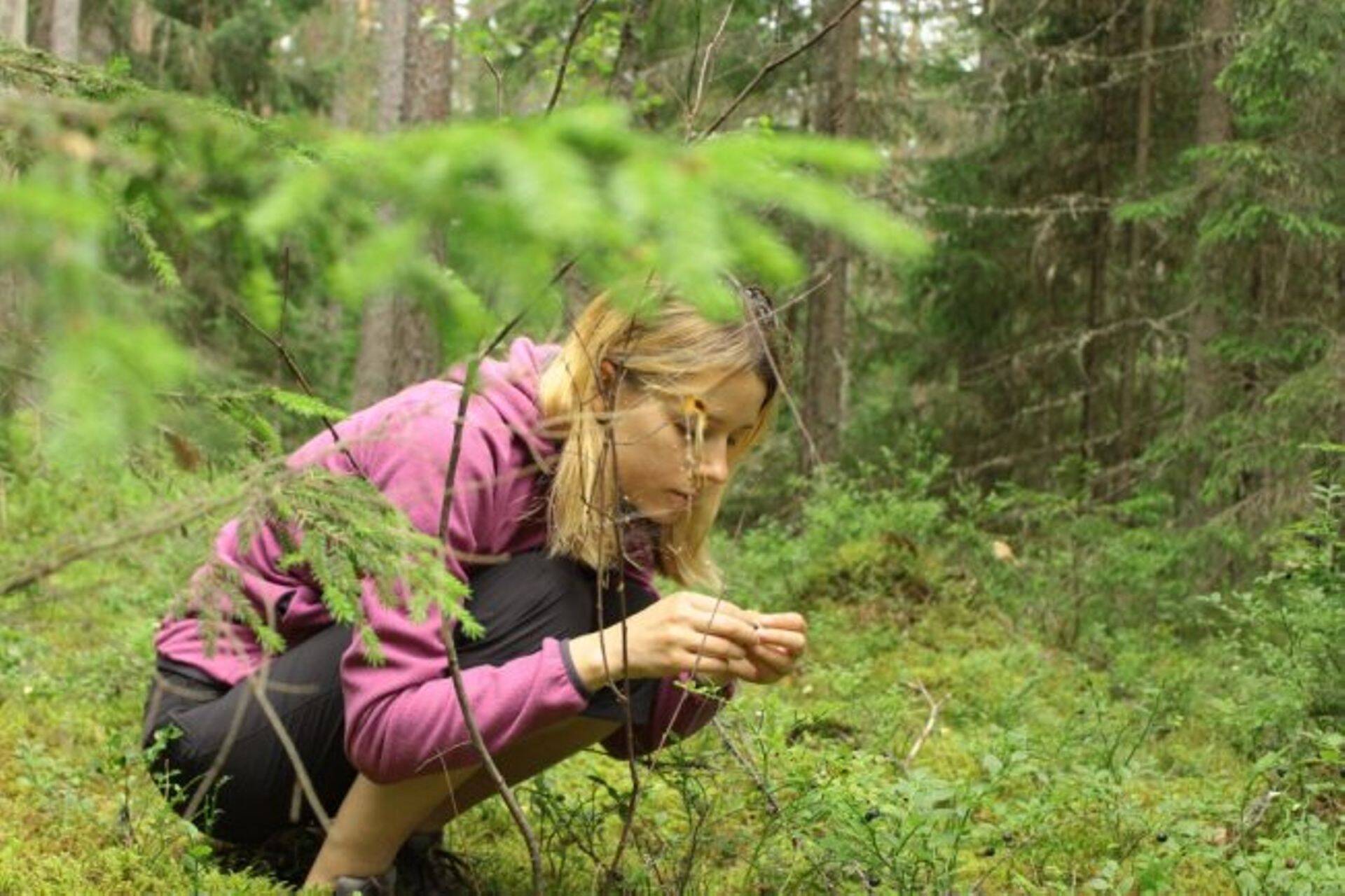 Kristiina Mark välitöödel.