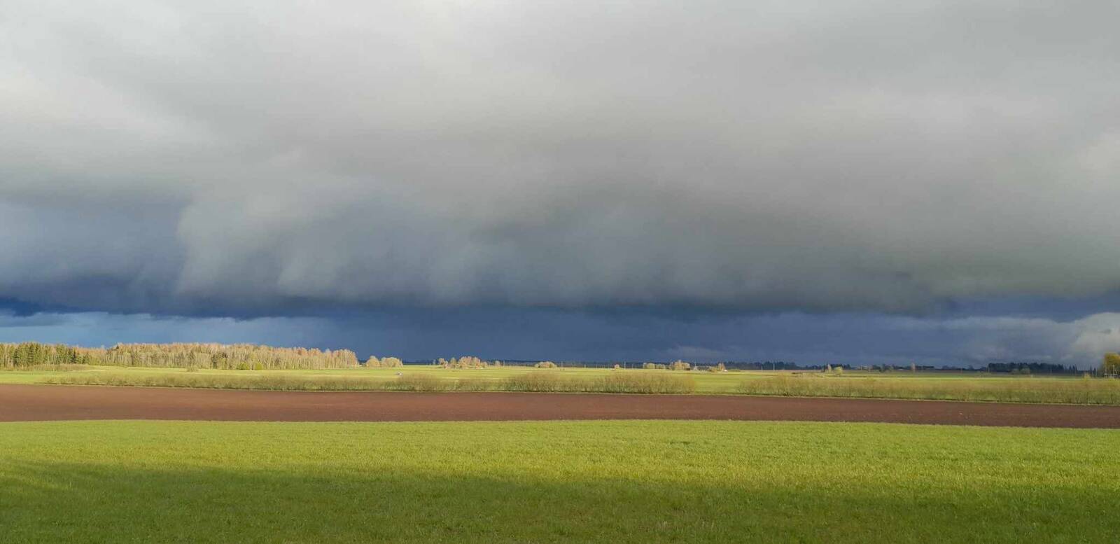 Rapsi, rüpsi ja suviodra kasvatajad said loodusõnnetuse kahjude eest toetused kätte.