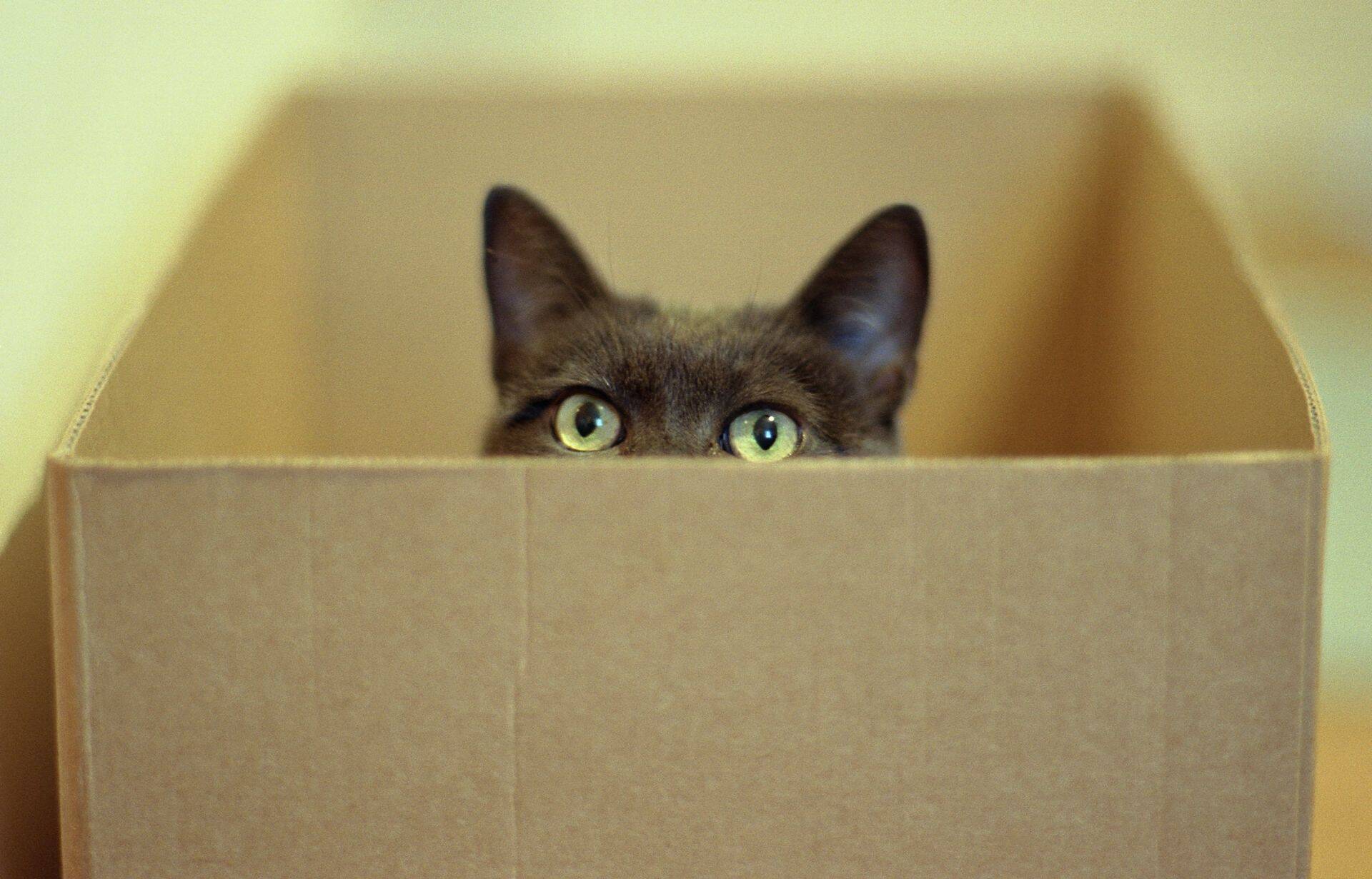 Kust võib tulla Eesti majandusele löök?