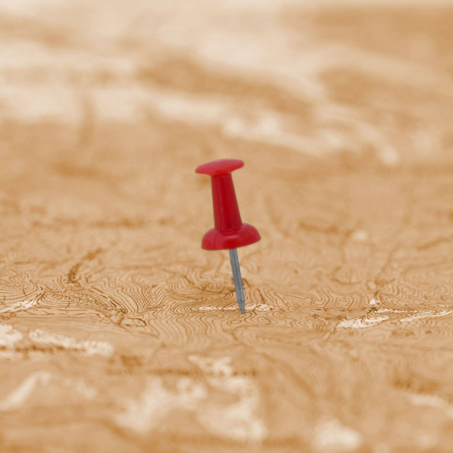 Statistikaameti kaardirakendus annab ülevaate geoinfost, millest uue ettevõtte rajamisel võib abi olla.