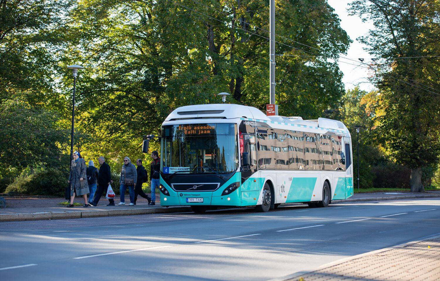Trolliliinidel hakkavad sõitma bussid.