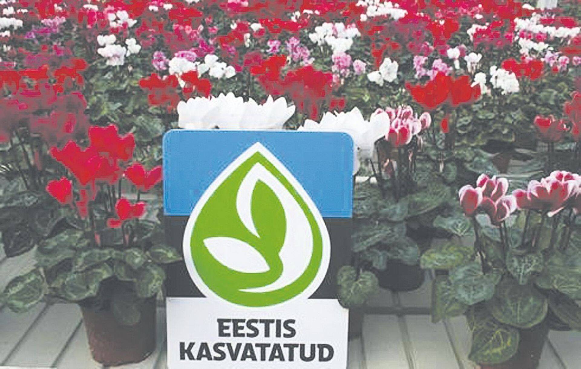 Ka Nurmiko kasutab seda märki.