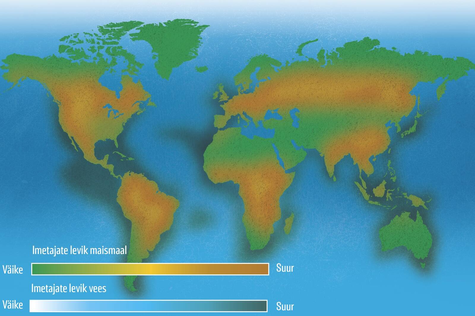 Imetajad on asustanud nii rohumaad, polaaralad kui ka mered.
