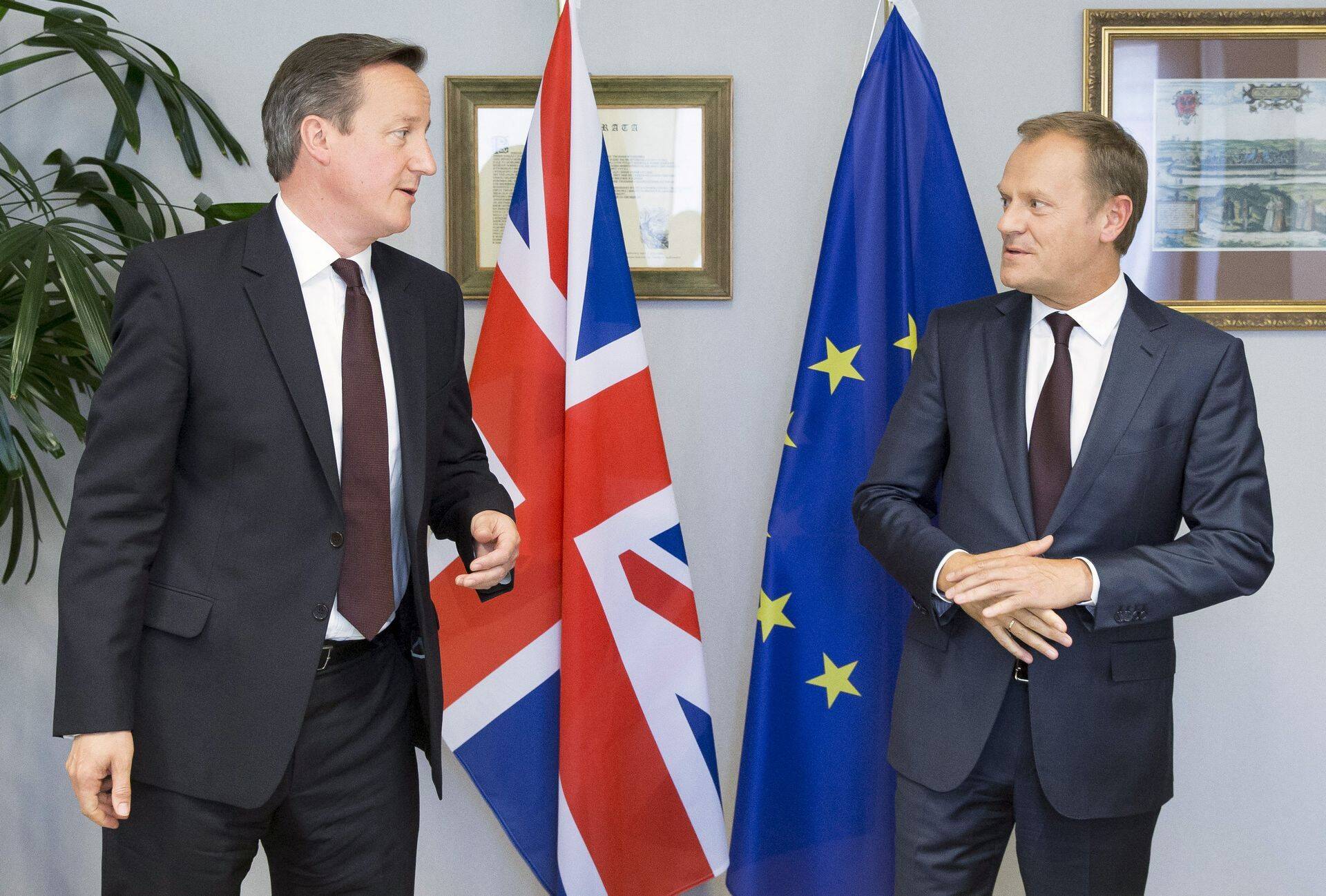 David Cameron ja Donald Tusk