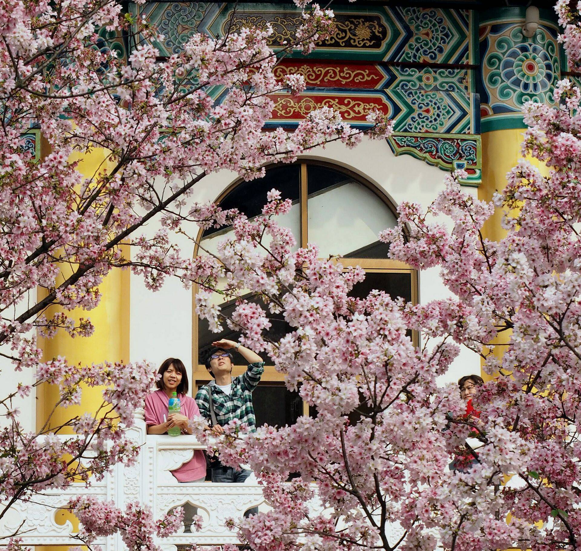 Pilt on illustreeriv