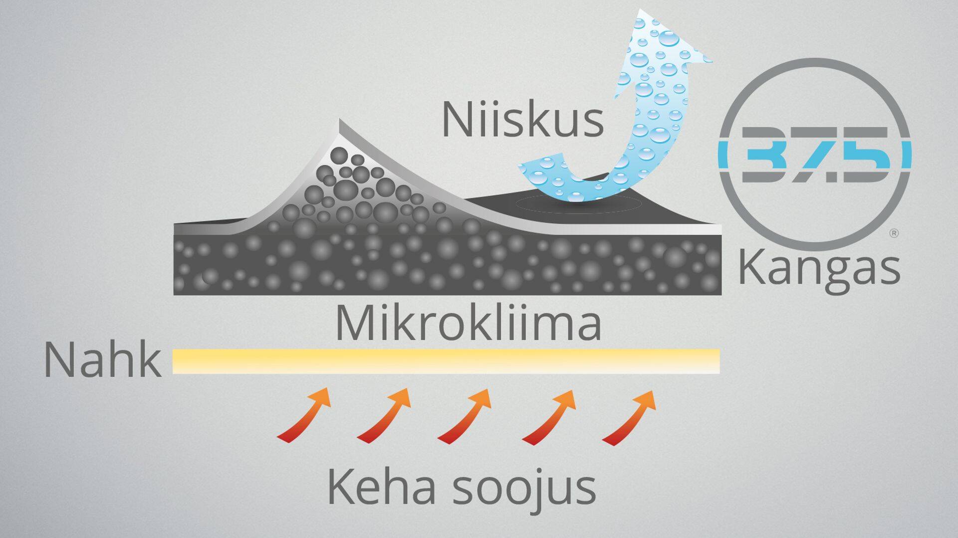 37,5® tehnoloogiaga kanga joonis.