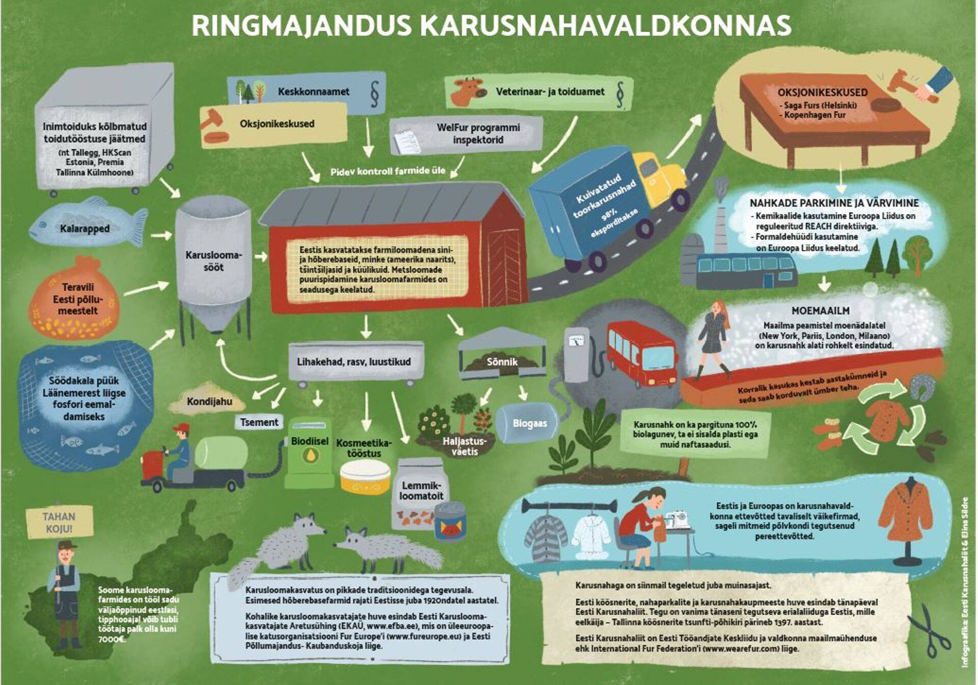 Ringmajandus karusloomakasvatuses