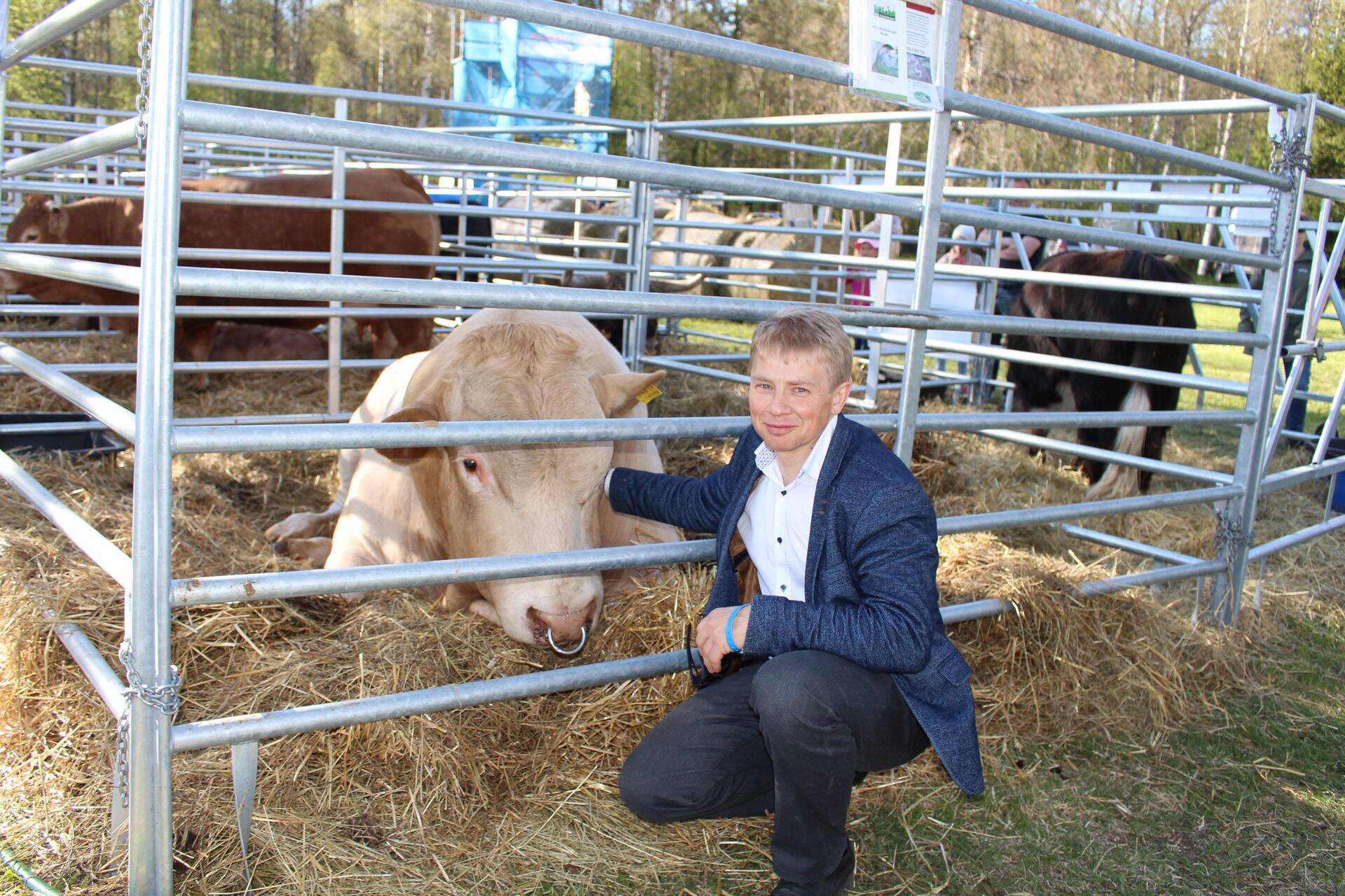 Tanel-Taavi Bulitko