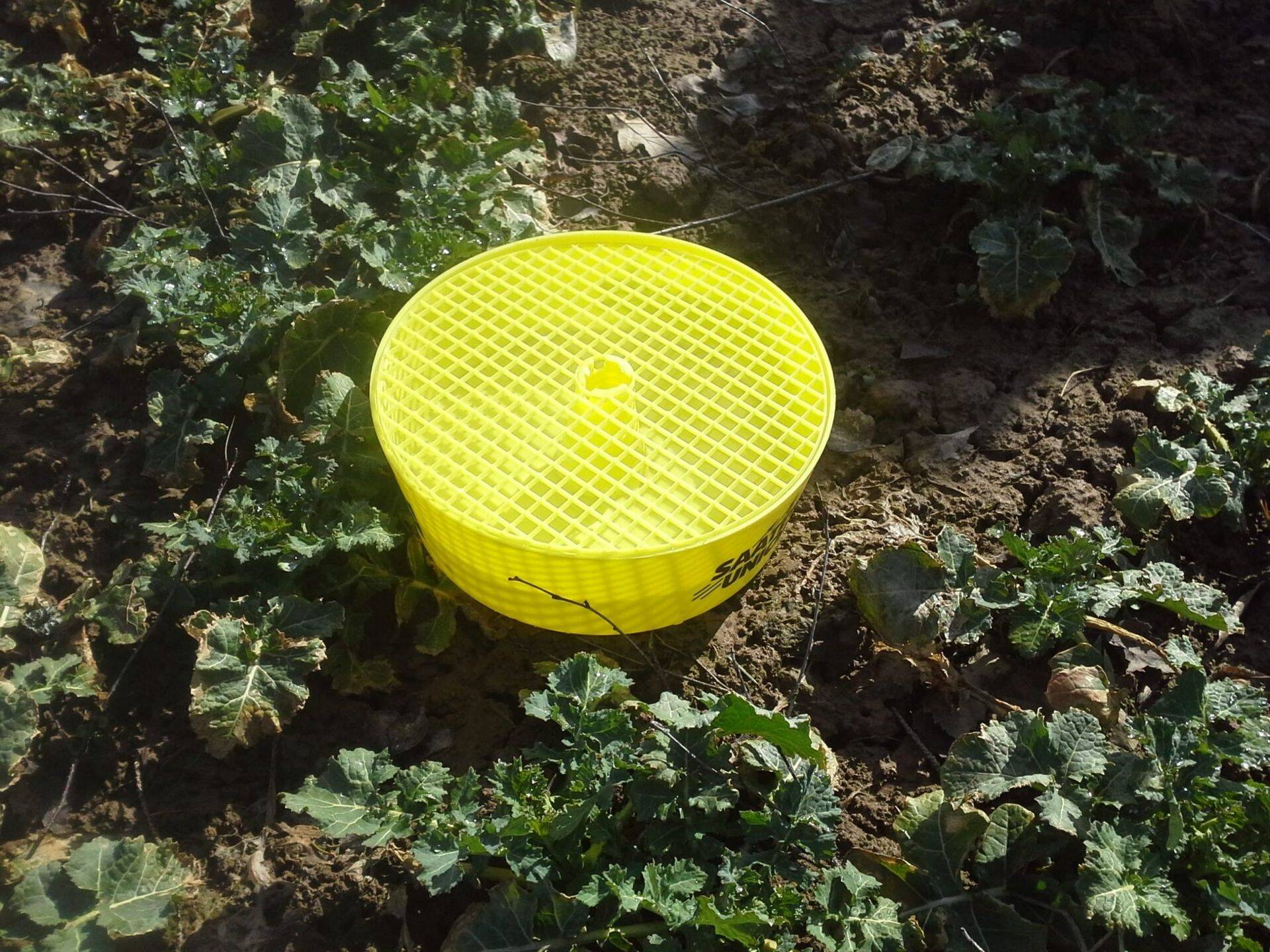 Kollased vesipüünised on abiks