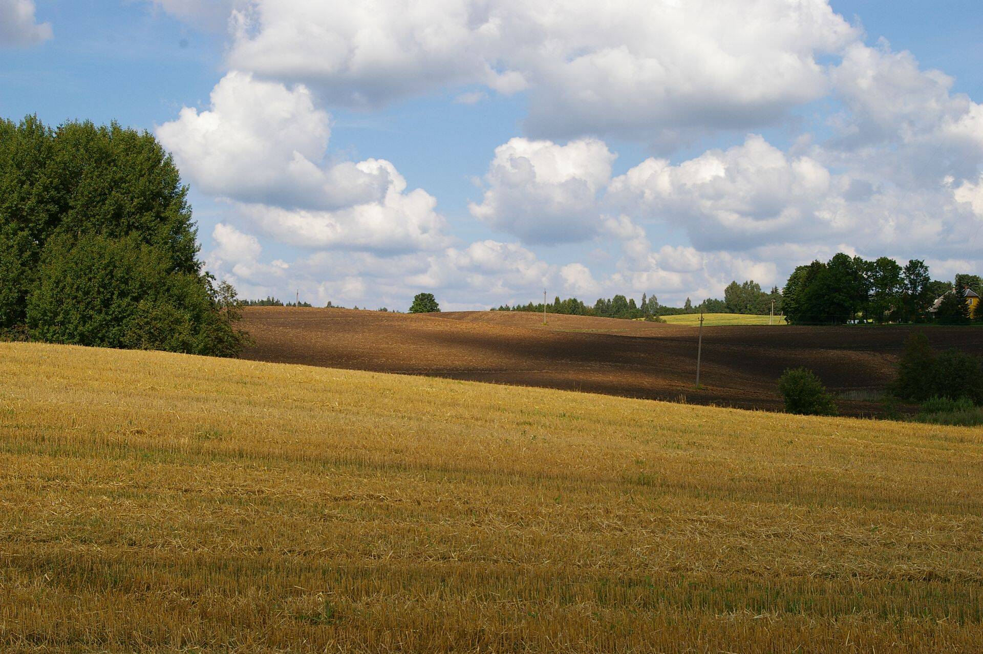 Mullaviljakuse parandamiseks on mitmeid võimalusi.