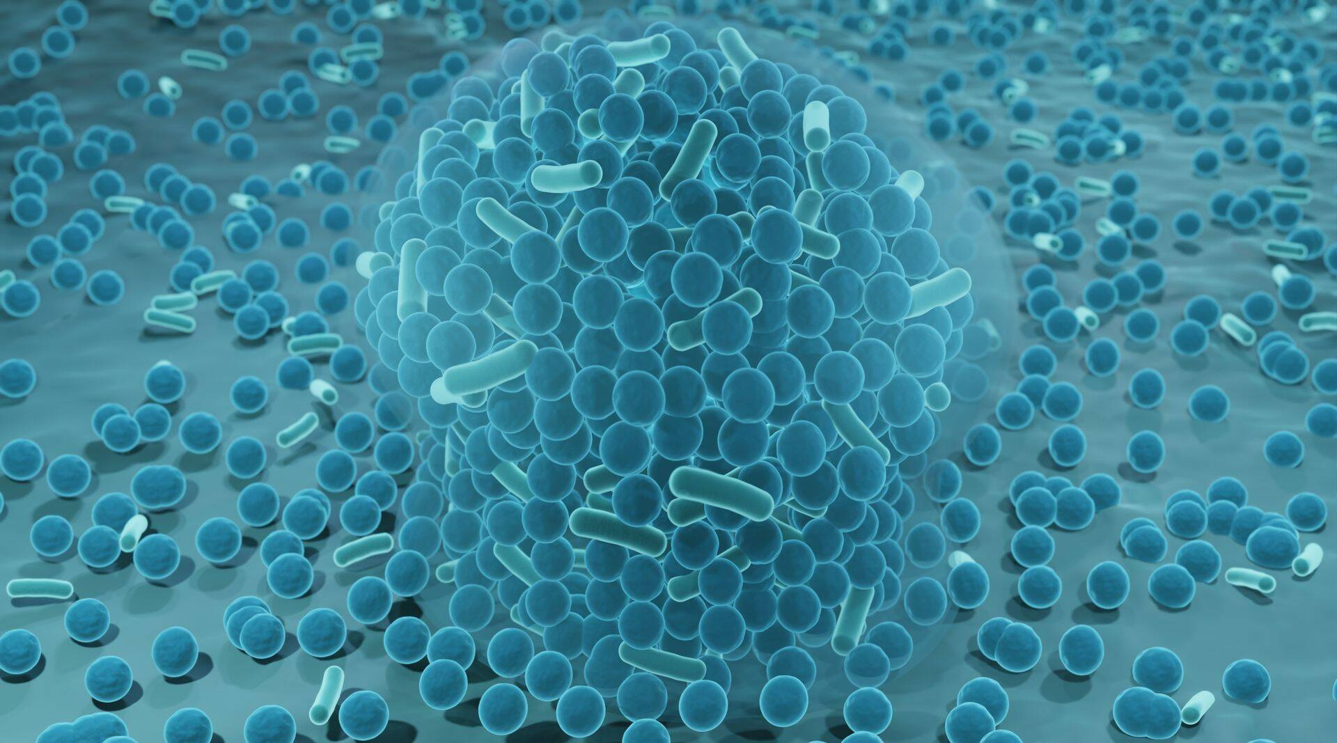 Haavapatoloogiate kujunemises omistatakse järjest suuremat tähtsust biofilmile ja mikrobioloogilise tasakaalu häirumisele haavakeskkonnas.