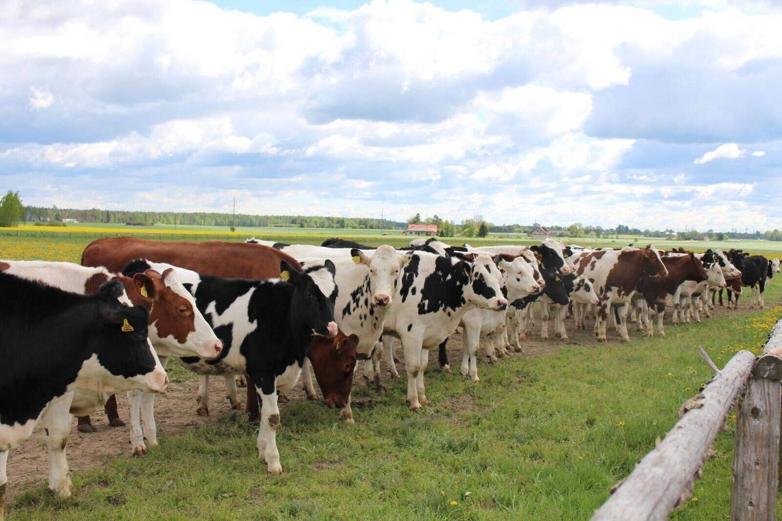 Tartu Agro noorkari.