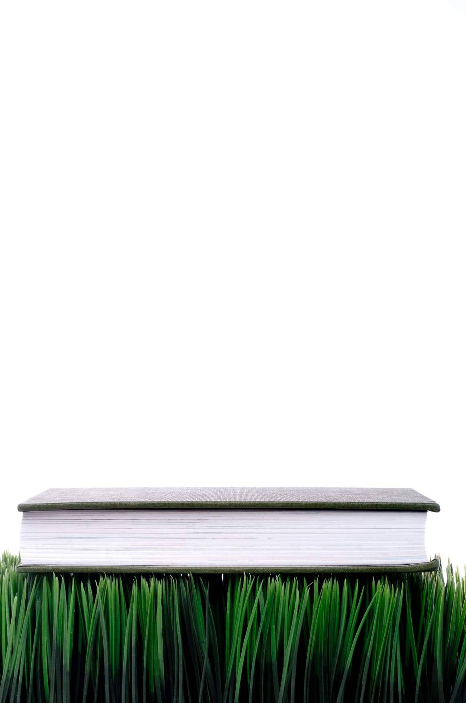 Eesti Telekom annab kahele idufirmale 10 000 eurot algkapitaliks.