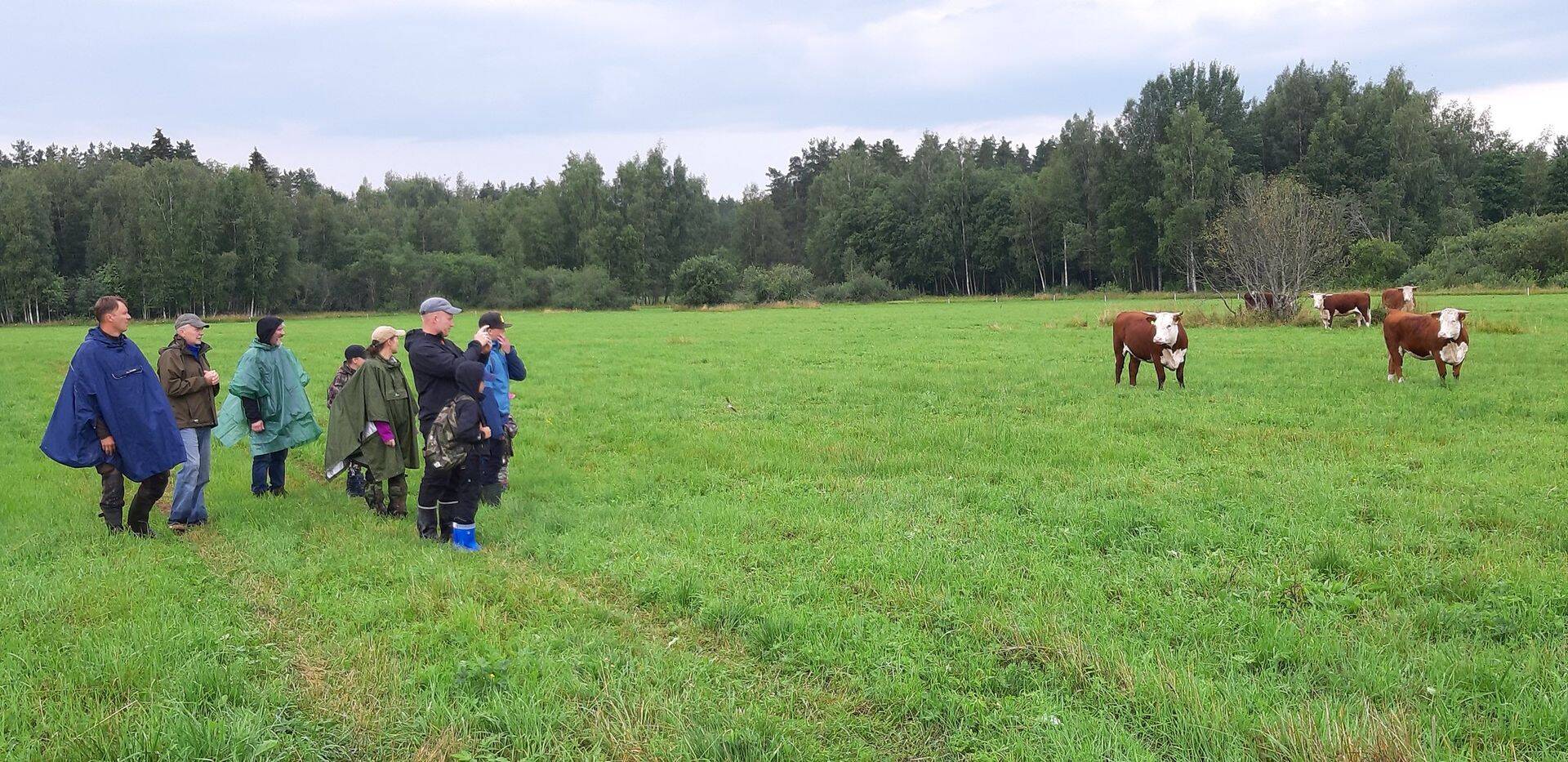 Eelmise aasta looduse päeva retk Valgamaale Mustjõe luhaniidule.