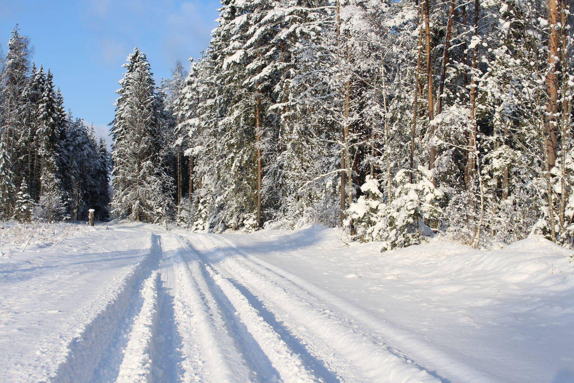 Talve kokkuvõte: pisut soojem ja päikselisem