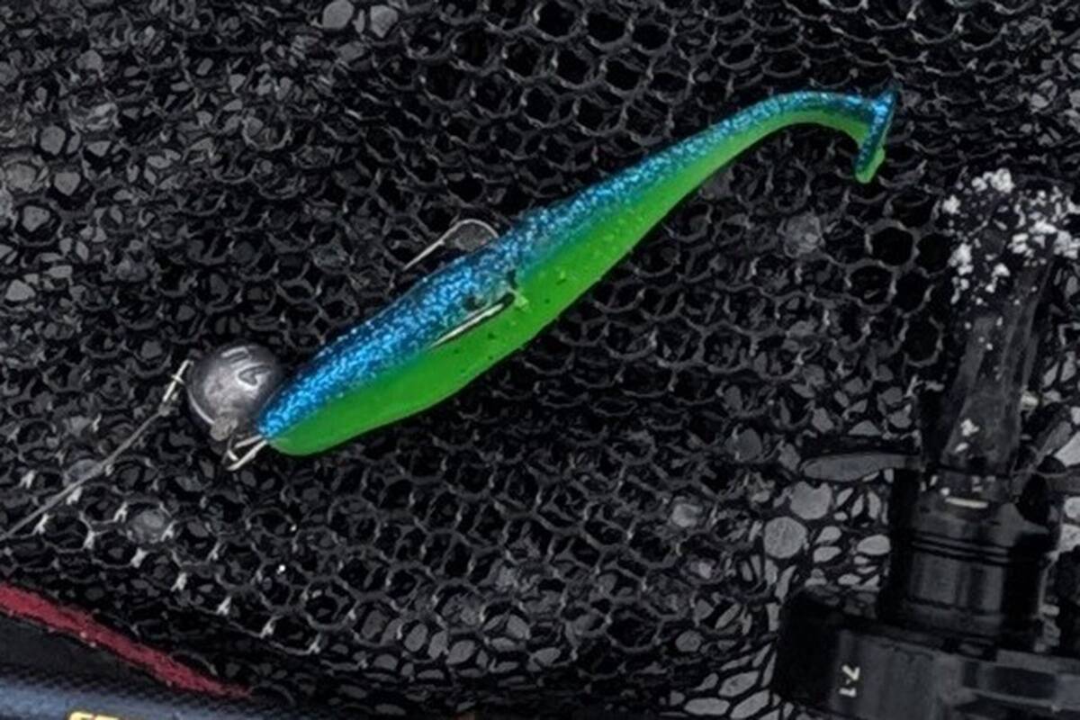 Säga toonud rakenduse detailvaade.