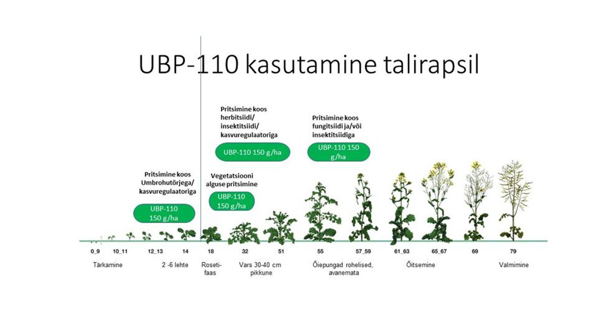 UBP-110 kasutamine talirapsil