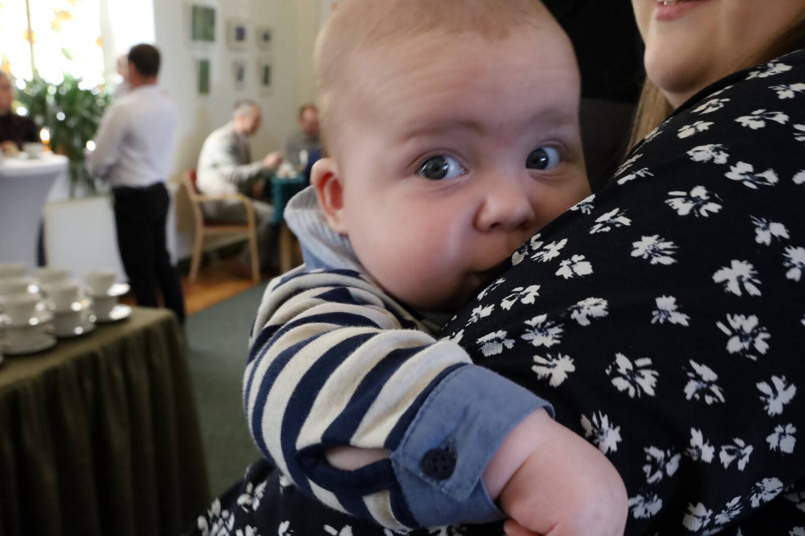 Reedel tervitati Väike-Maarja seltsimajas uusi vallakodanikke.