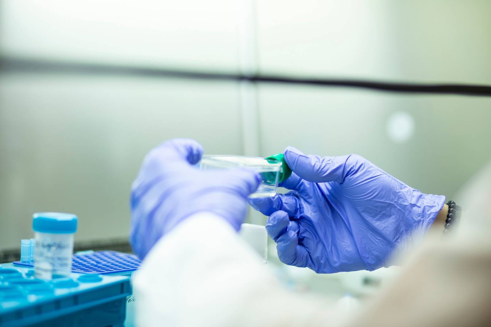 Uuritakse ka viise, kuidas siduda loomset päritolu kudesid inimese rakkudega.