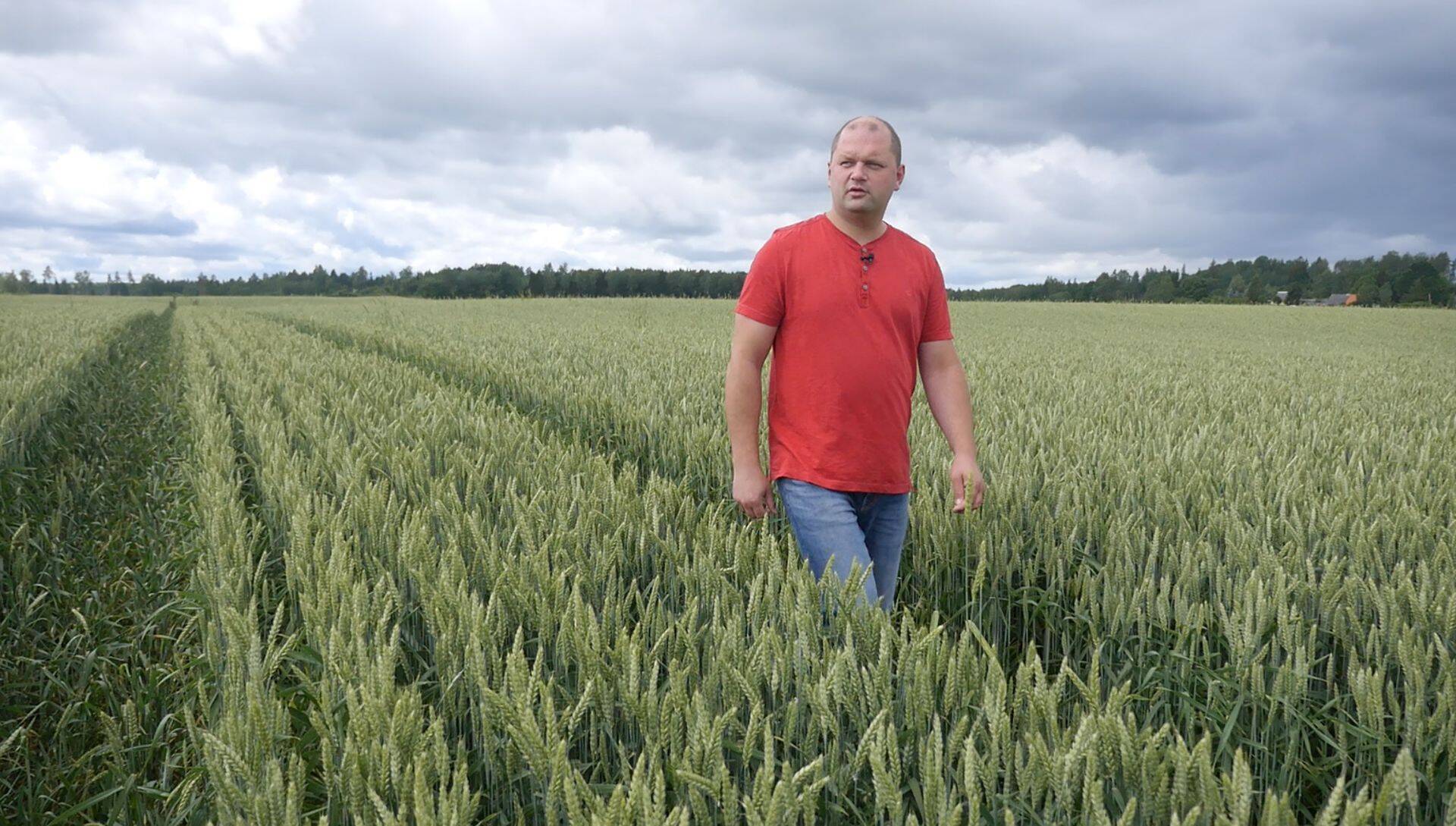 Soone Farm OÜ juht Madis Tamm võidupõllul.