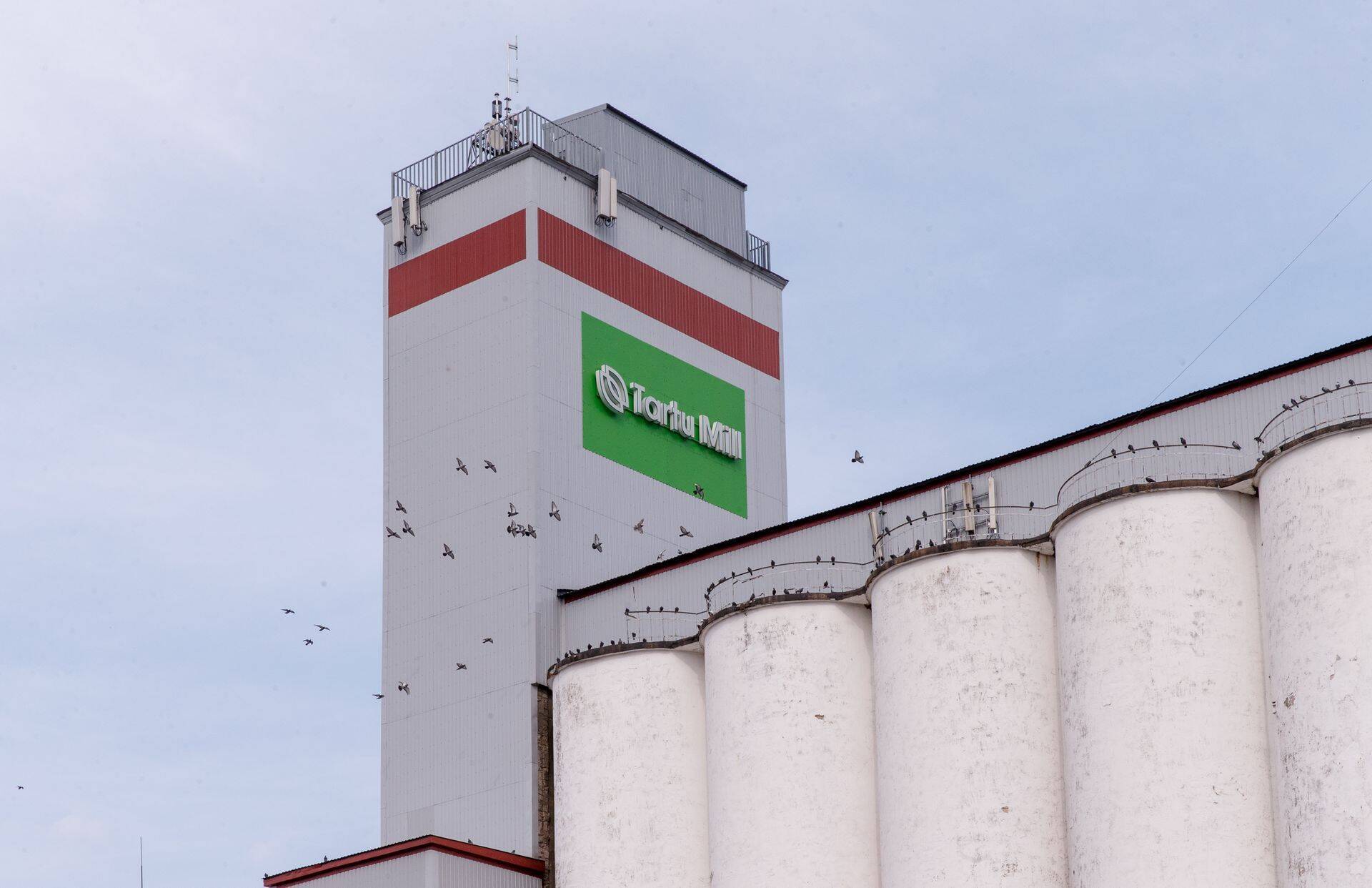 Tartu Mill sai süüdistuse maksupettuses